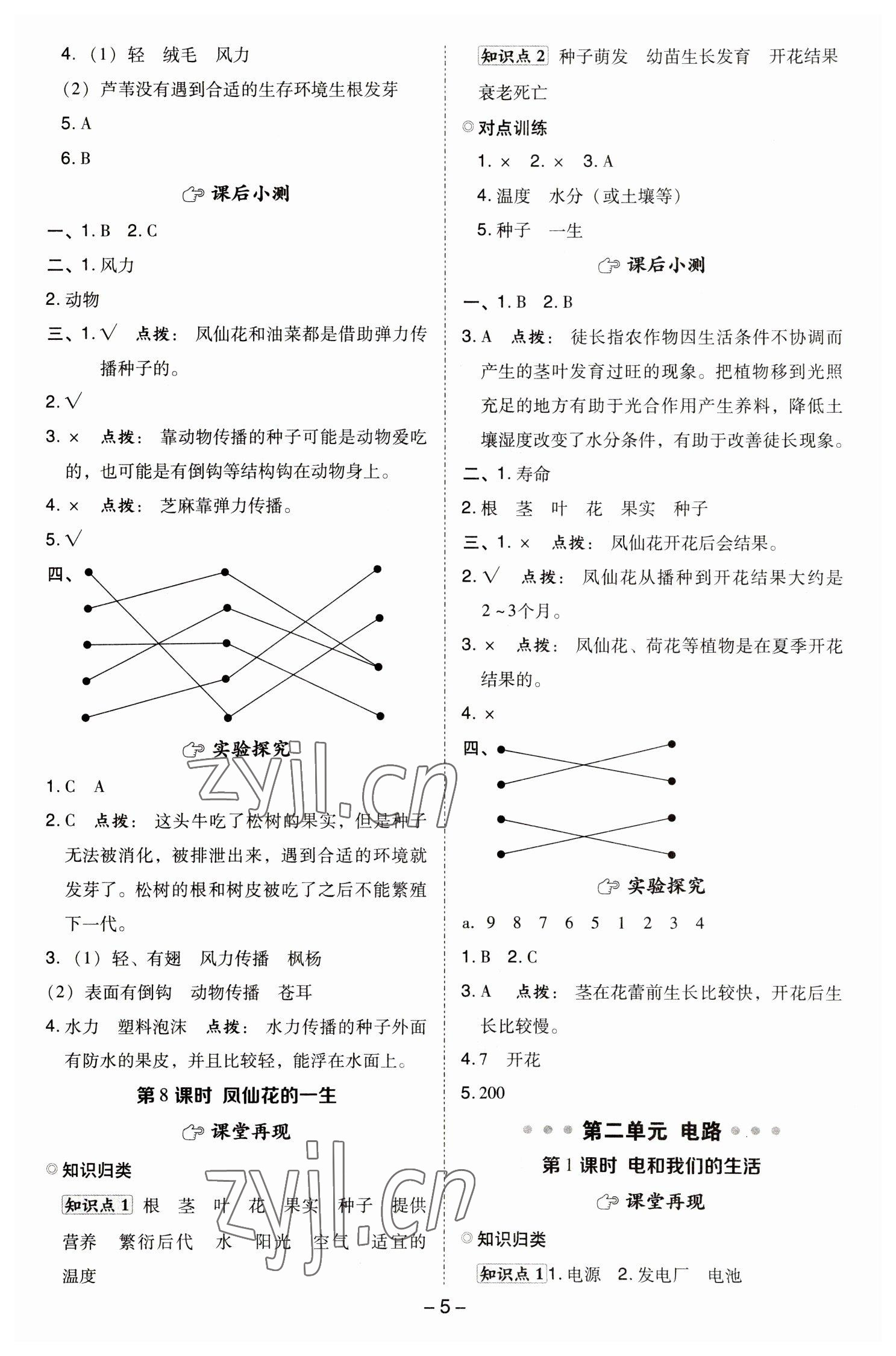 2023年綜合應(yīng)用創(chuàng)新題典中點(diǎn)四年級科學(xué)下冊教科版 參考答案第4頁