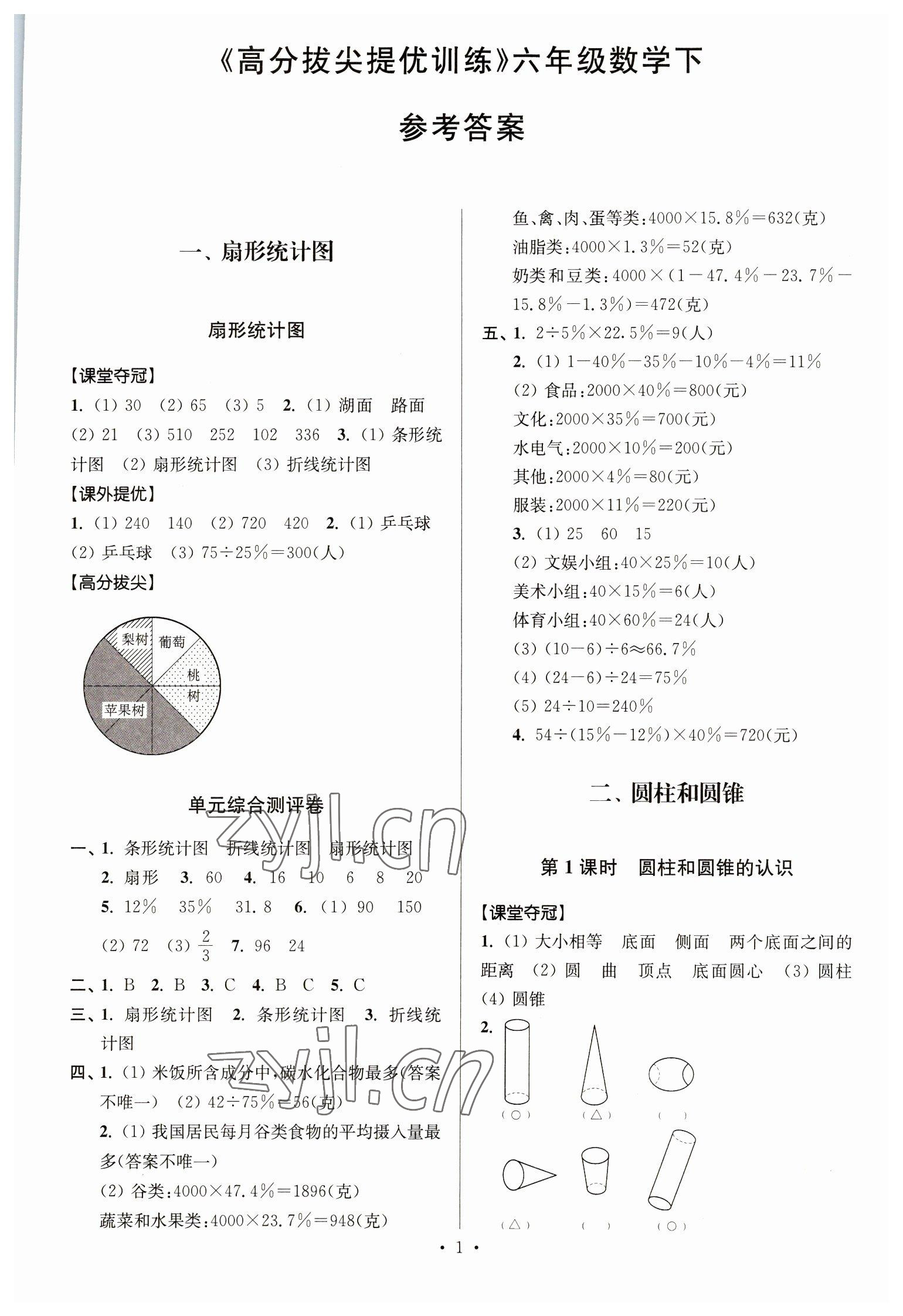 2023年高分拔尖提優(yōu)訓(xùn)練六年級(jí)數(shù)學(xué)下冊(cè)蘇教版江蘇專版 第1頁(yè)