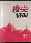 2023年拔尖特訓(xùn)九年級語文下冊人教版