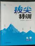 2023年拔尖特訓(xùn)九年級化學(xué)下冊滬教版