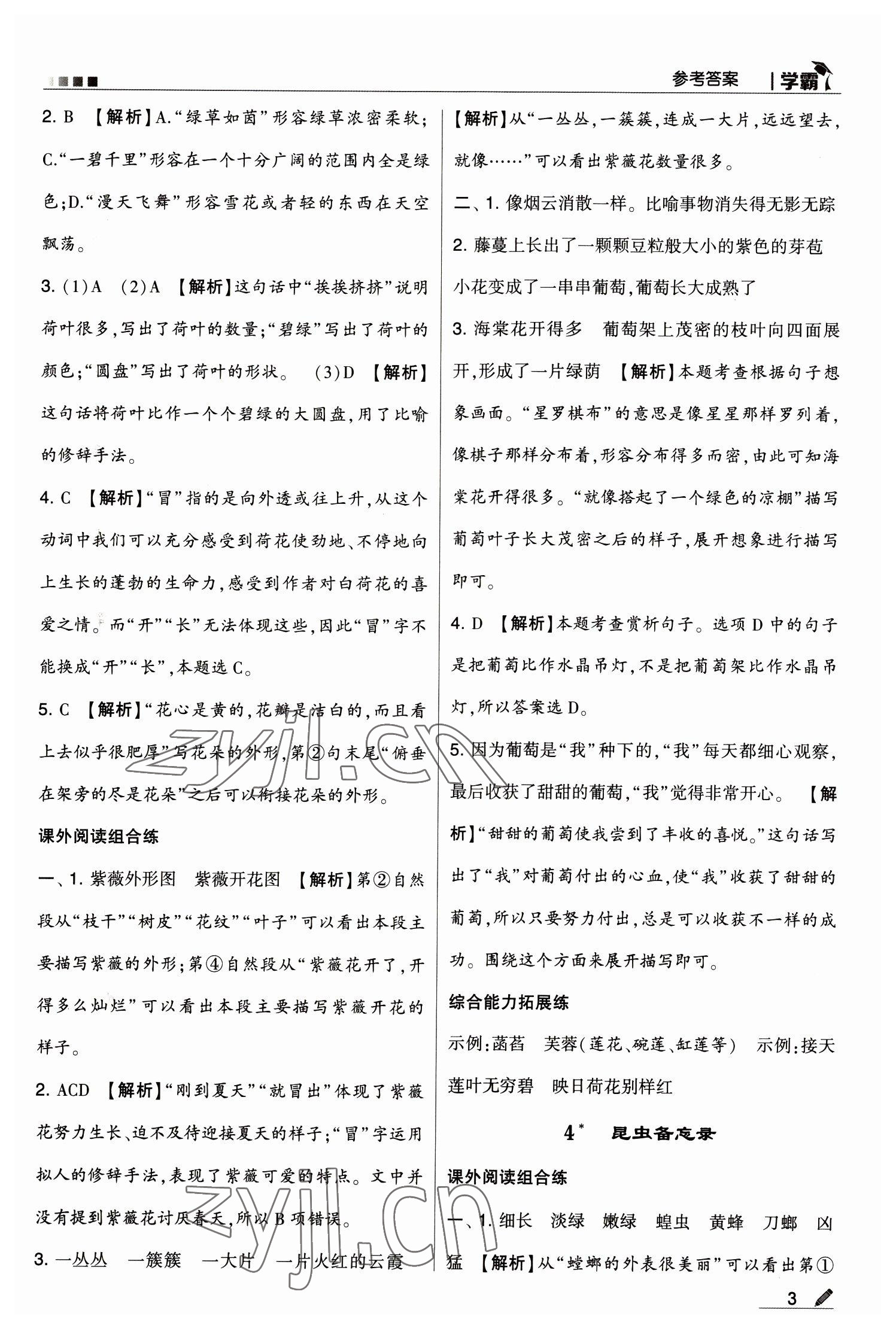 2023年乔木图书学霸三年级语文下册人教版 第3页