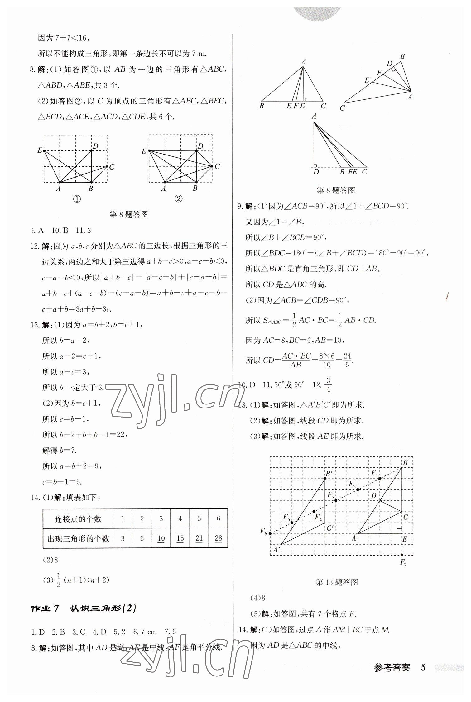 2023年启东中学作业本七年级数学下册苏科版 参考答案第5页