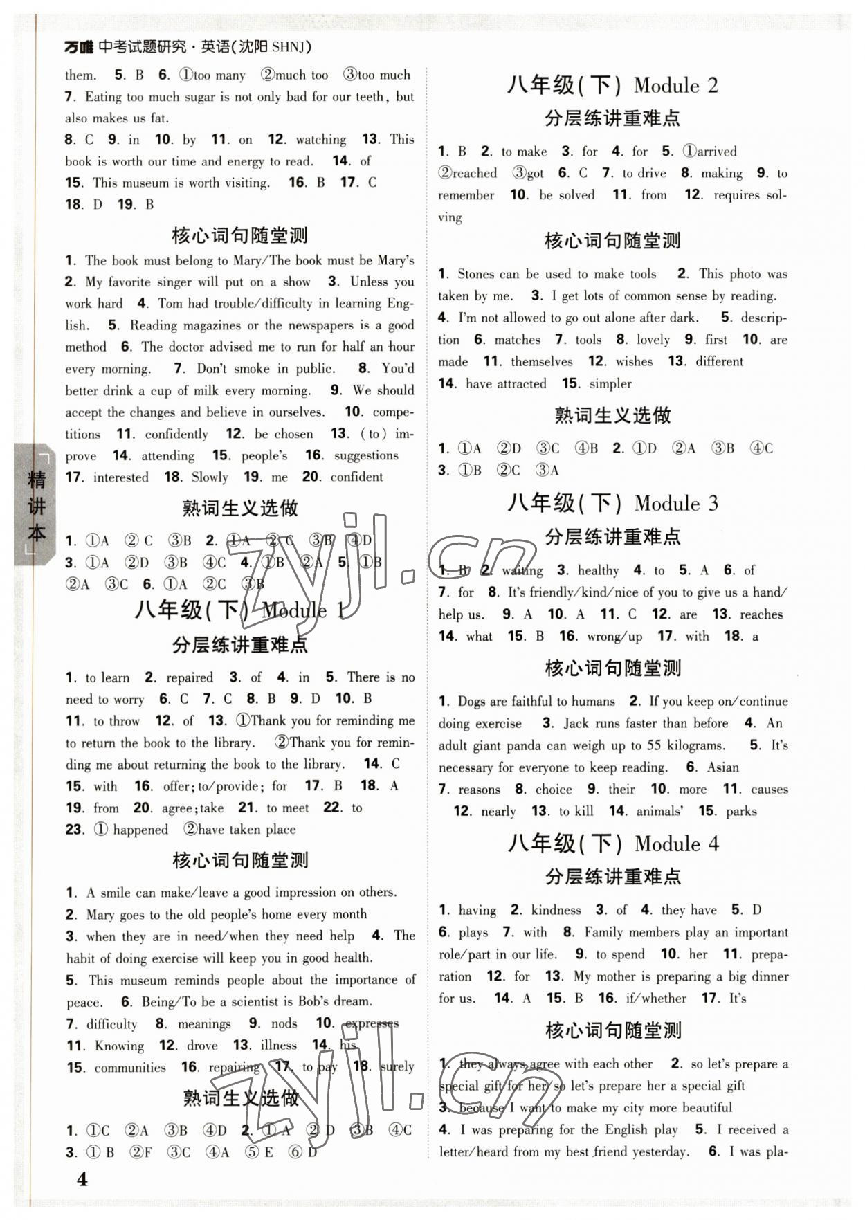 2023年萬唯中考試題研究英語(yǔ)滬教版沈陽(yáng)專版 參考答案第3頁(yè)