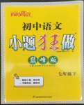 2023年初中语文小题狂做七年级下册巅峰版