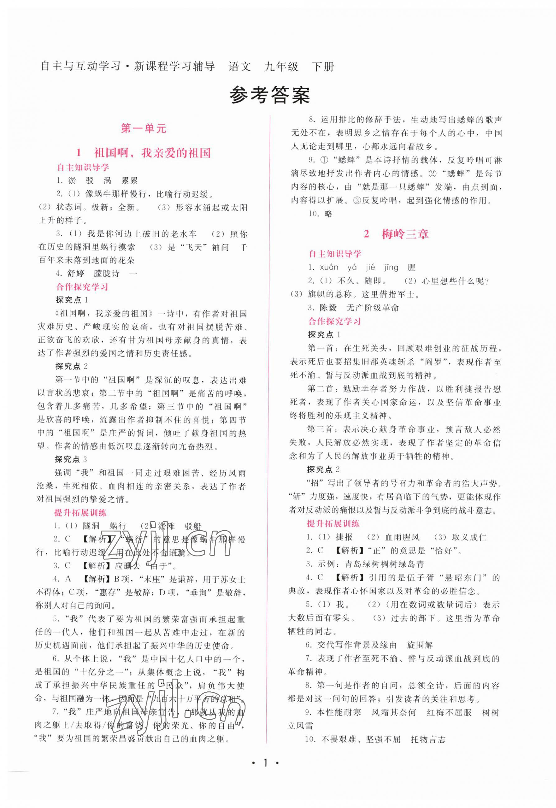 2023年新課程學(xué)習(xí)輔導(dǎo)九年級(jí)語(yǔ)文下冊(cè)人教版 第1頁(yè)