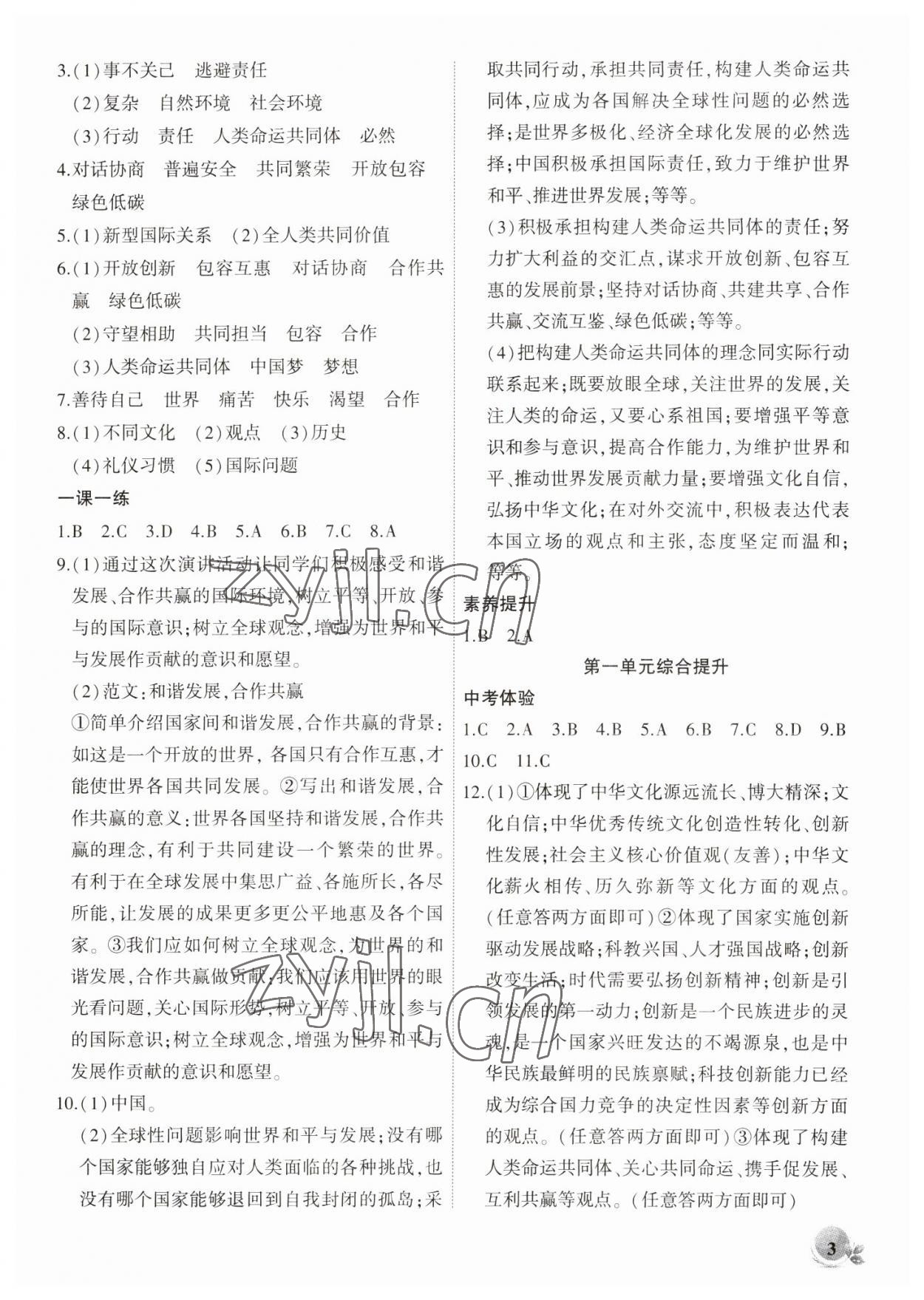 2023年創(chuàng)新課堂創(chuàng)新作業(yè)本九年級道德與法治下冊人教版 第3頁