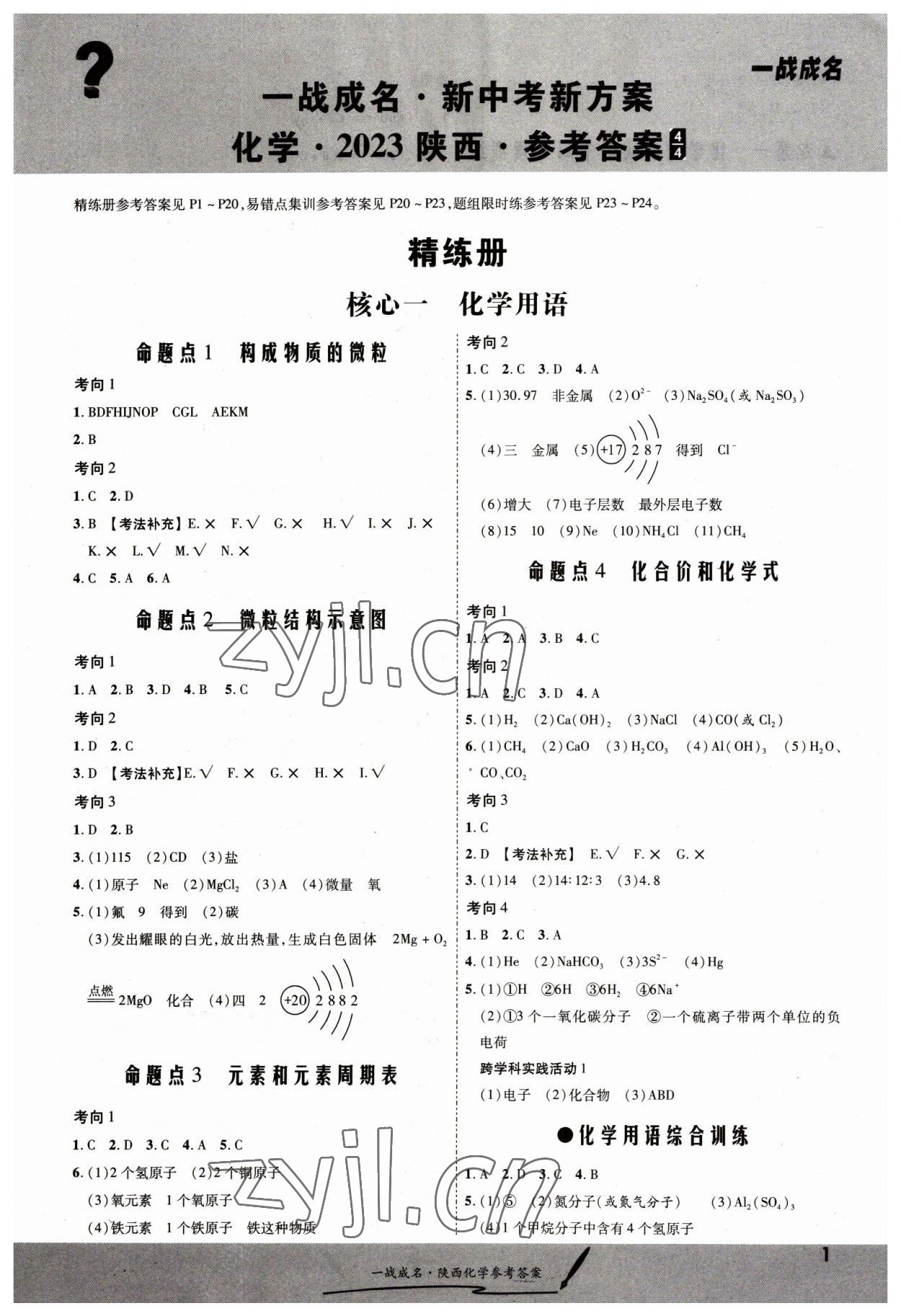 2023年一戰(zhàn)成名考前新方案化學(xué)陜西專版 第1頁