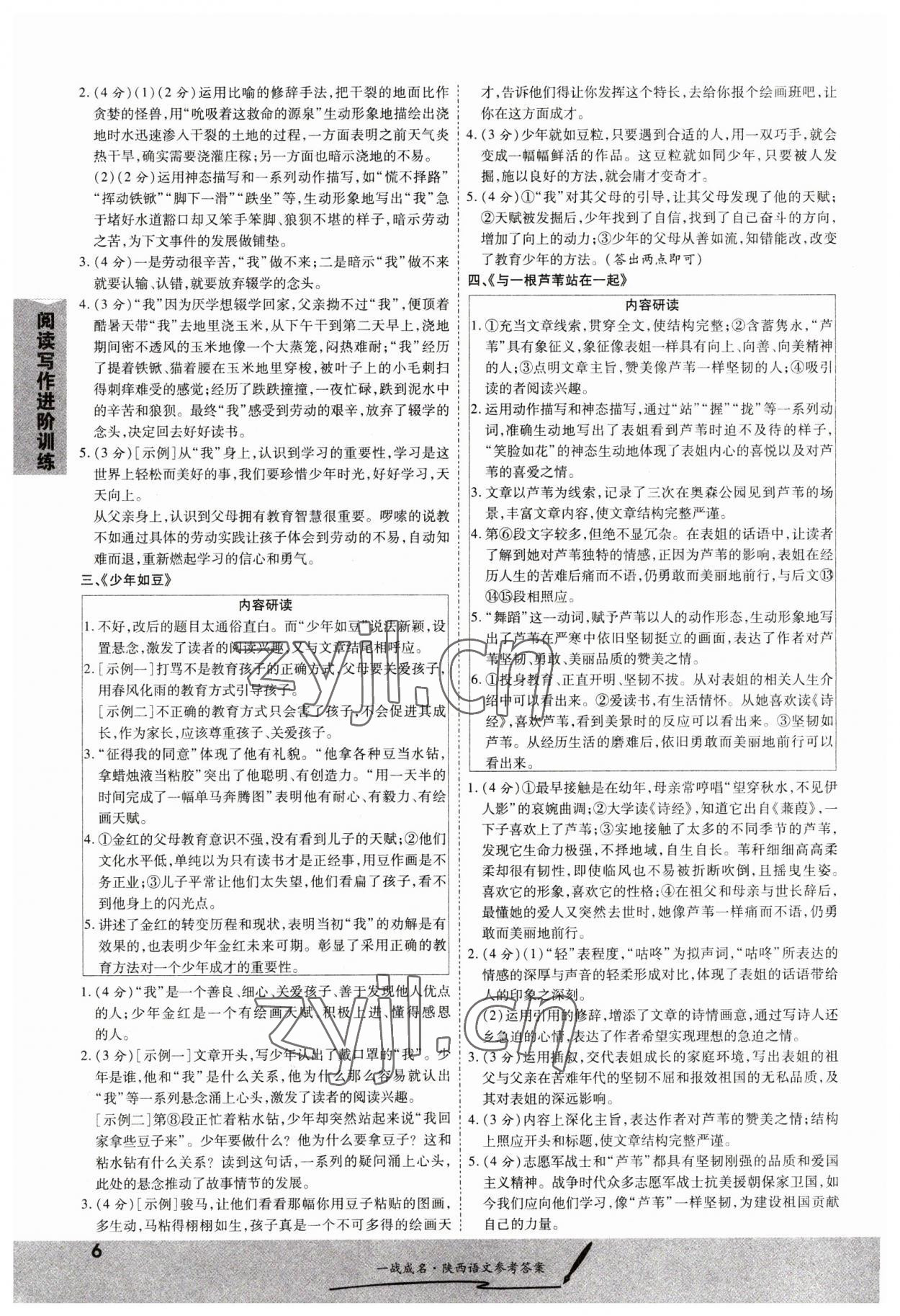 2023年一戰(zhàn)成名考前新方案語文版陜西專版 第6頁