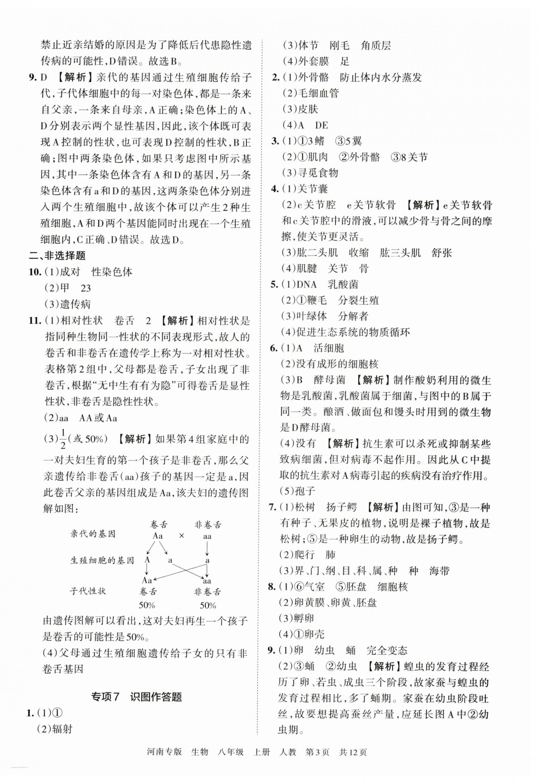 2022年王朝霞各地期末试卷精选八年级生物上册人教版河南专版 第3页