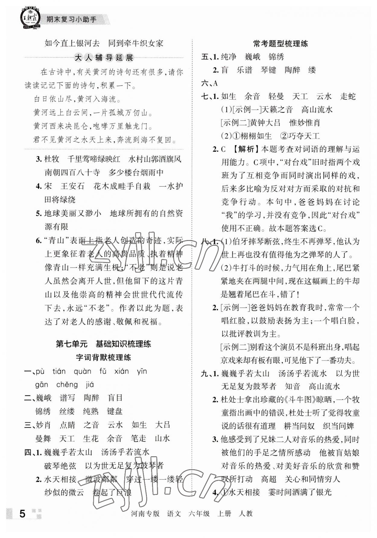 2022年王朝霞各地期末试卷精选六年级语文上册人教版河南专版 参考答案第5页