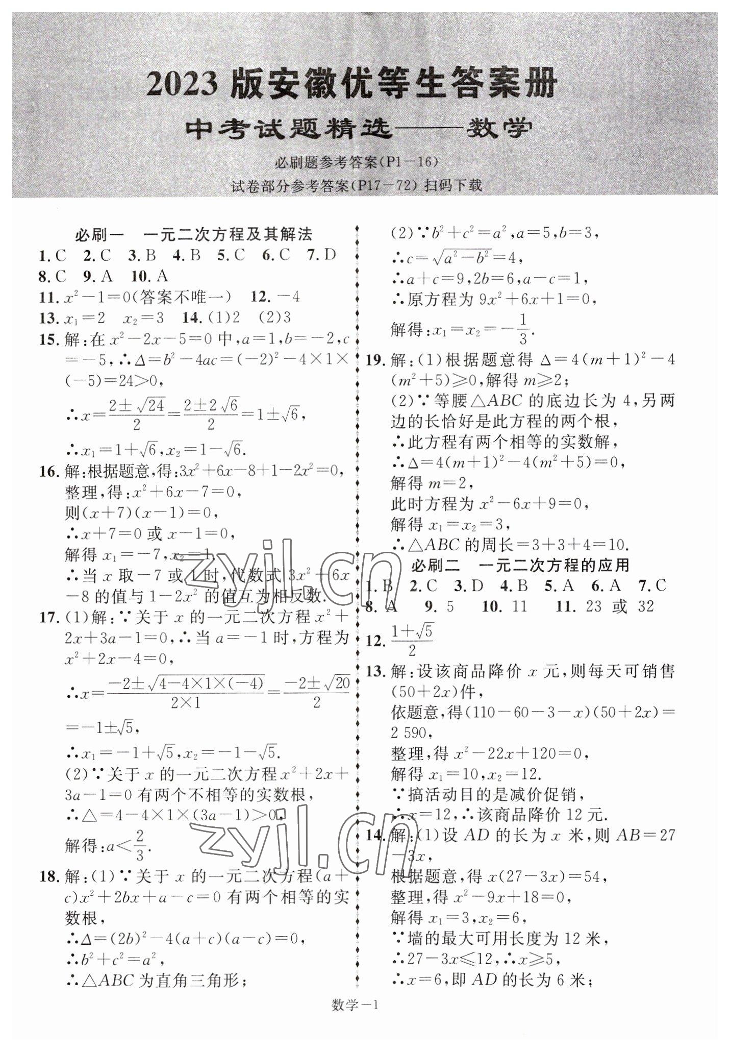 2023年金考卷45套汇编语文陕西专版 第1页