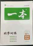 2023年一本同步訓(xùn)練九年級(jí)初中歷史下冊(cè)人教版