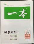 2023年一本同步訓(xùn)練九年級(jí)初中道德與法治下冊(cè)人教版