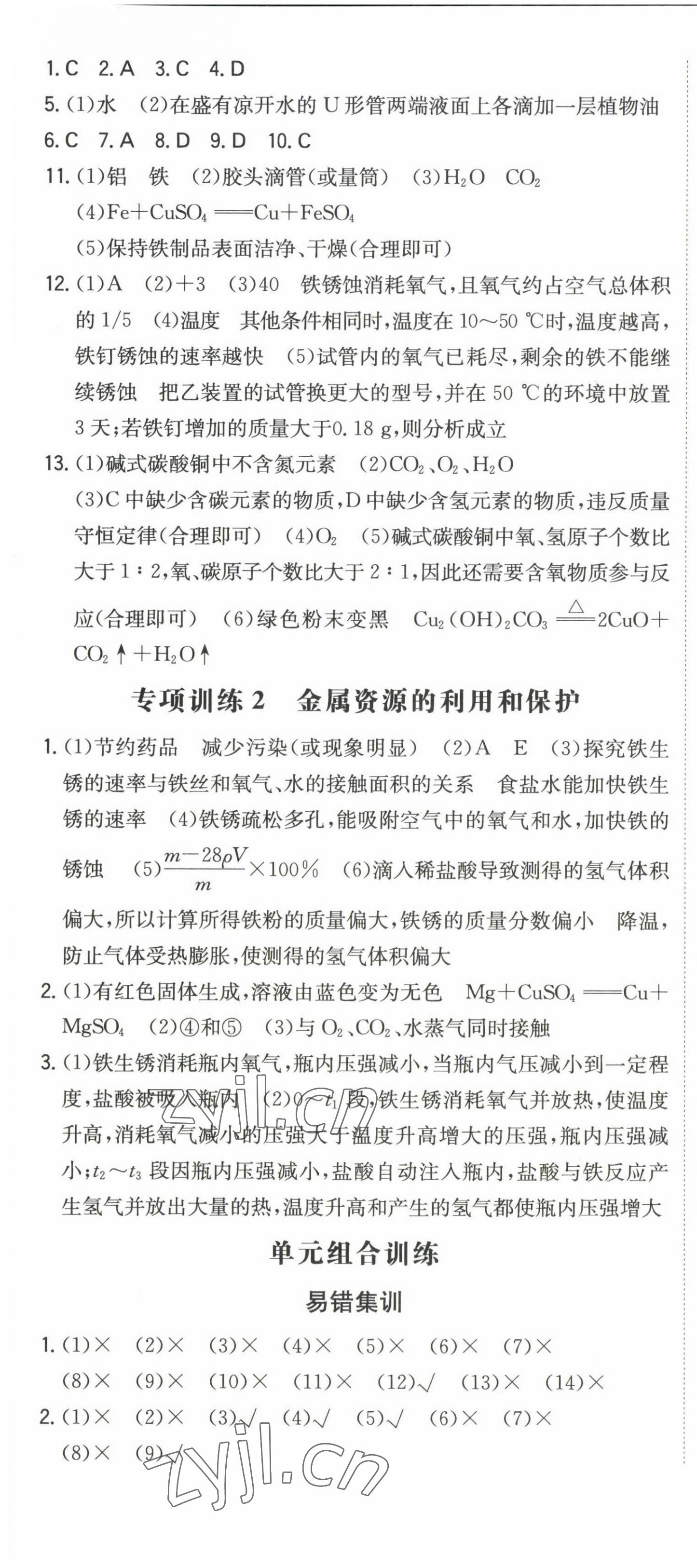 2023年一本同步训练九年级初中化学下册人教版 第4页