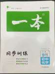 2023年一本同步訓(xùn)練九年級初中化學(xué)下冊人教版