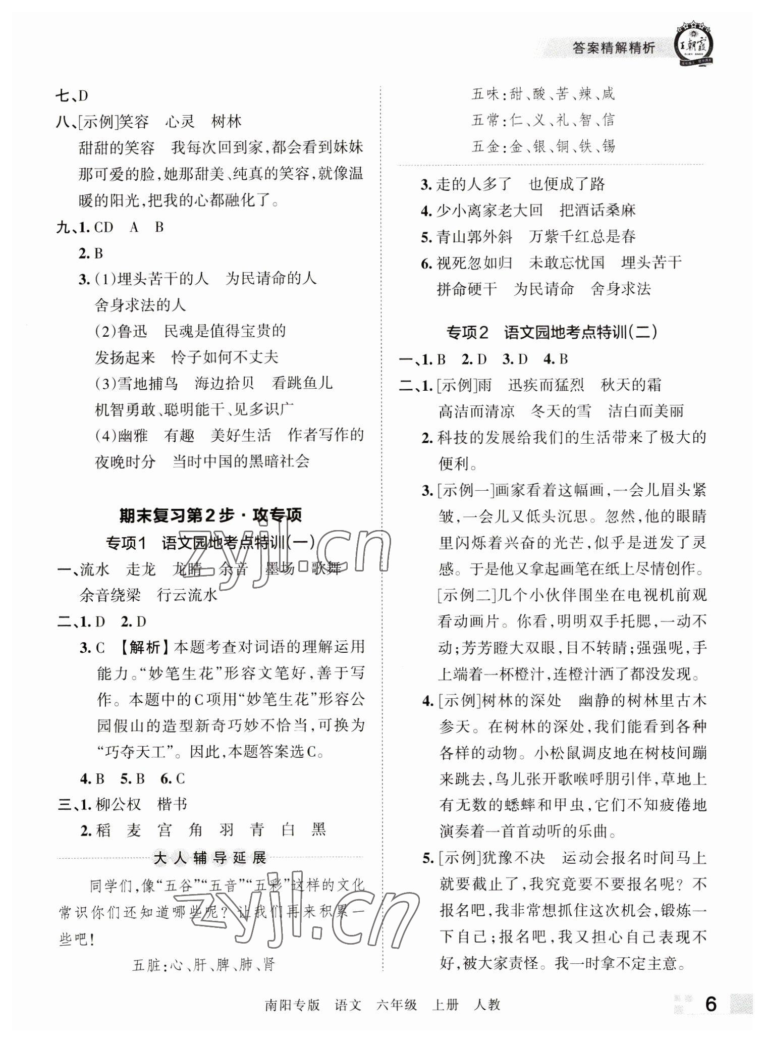 2022年王朝霞期末真题精编六年级语文上册人教版南阳专版 参考答案第6页