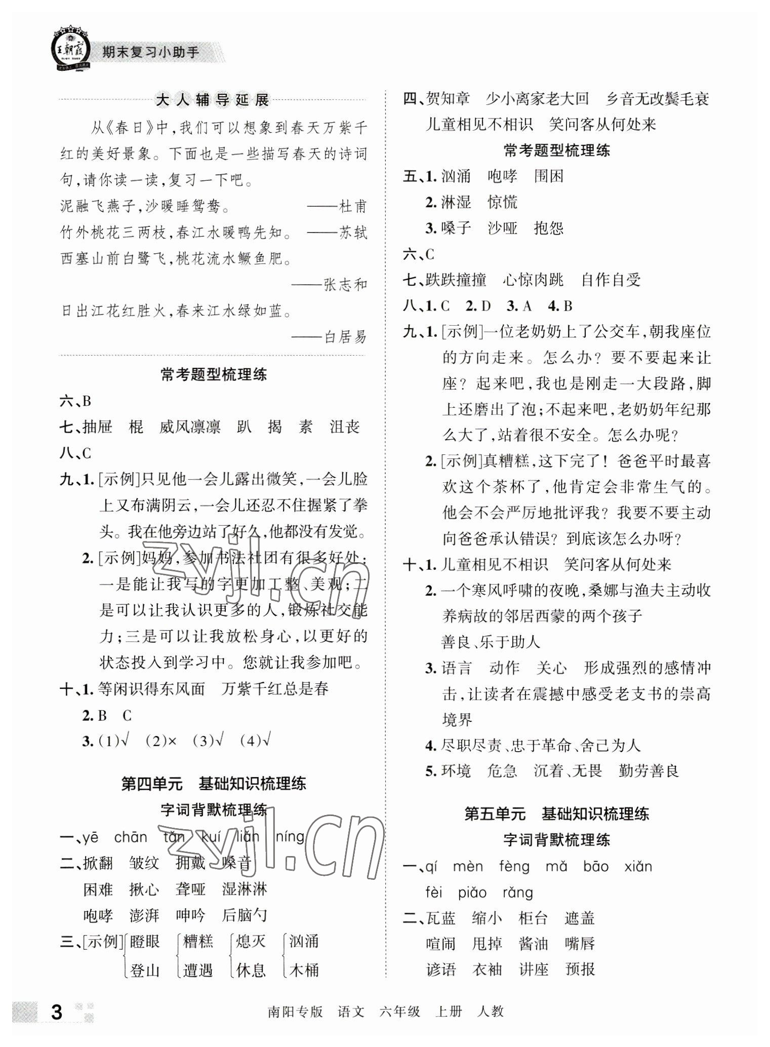 2022年王朝霞期末真题精编六年级语文上册人教版南阳专版 参考答案第3页