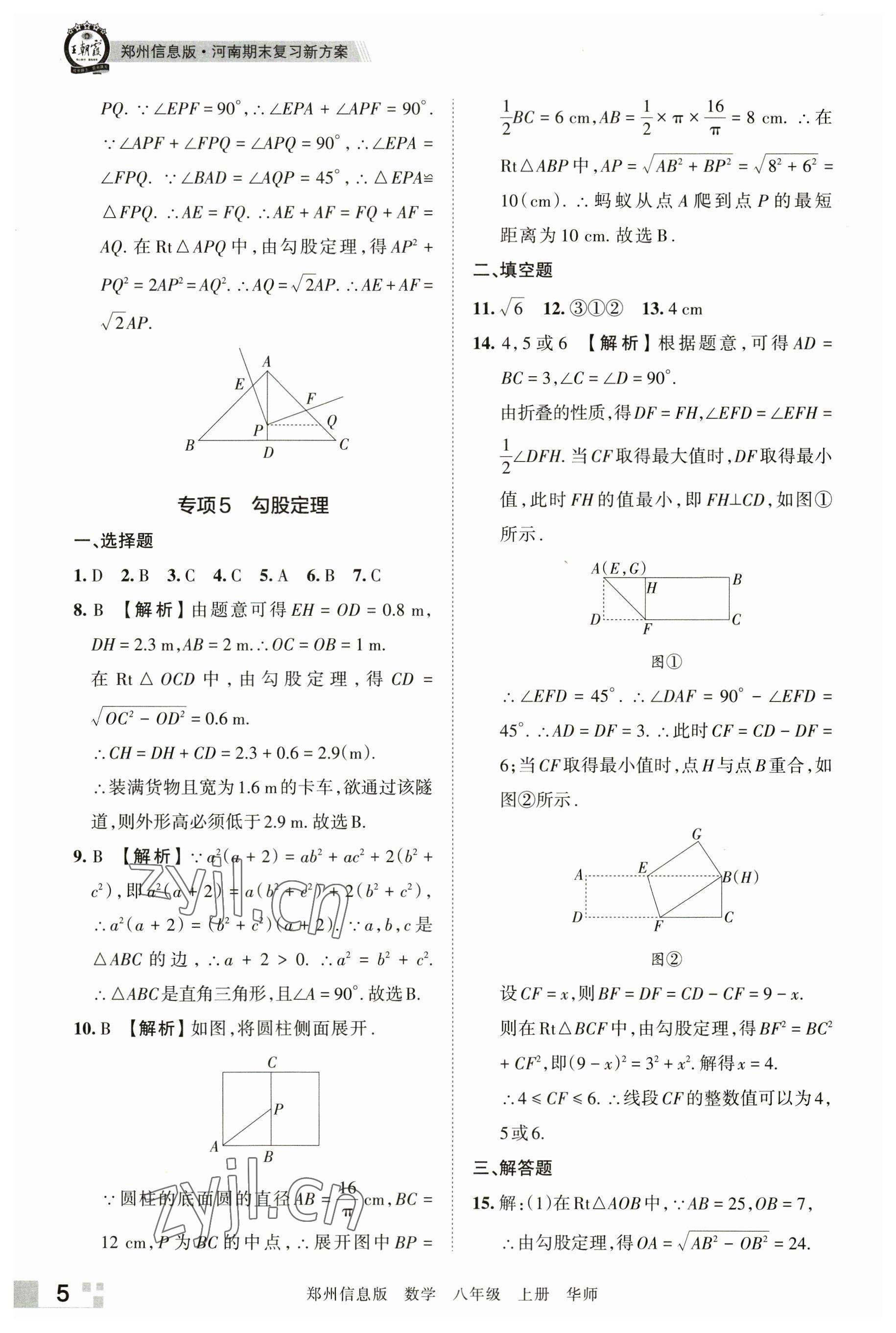 2022年王朝霞期末真題精編八年級數(shù)學上冊華師大版鄭州專版 參考答案第5頁