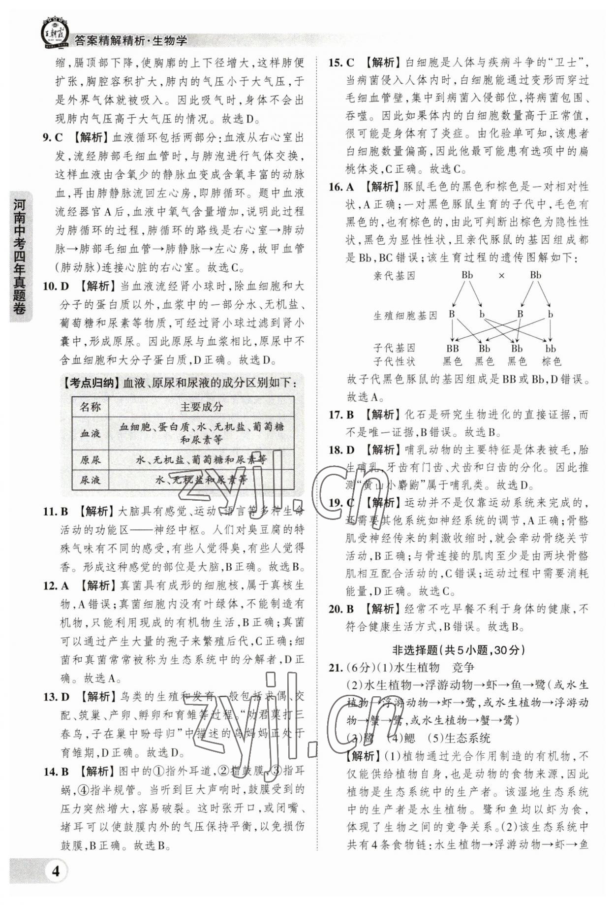 2023年王朝霞中考真題精編生物河南專版 參考答案第4頁