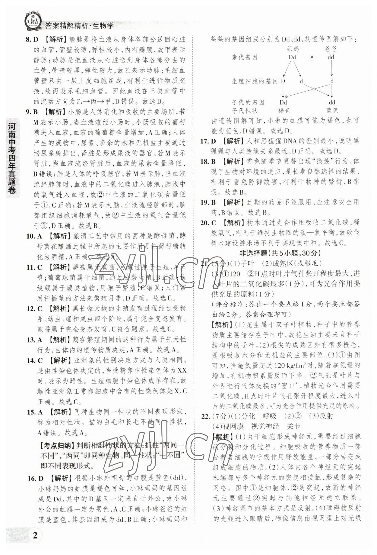 2023年王朝霞中考真題精編生物河南專版 參考答案第2頁