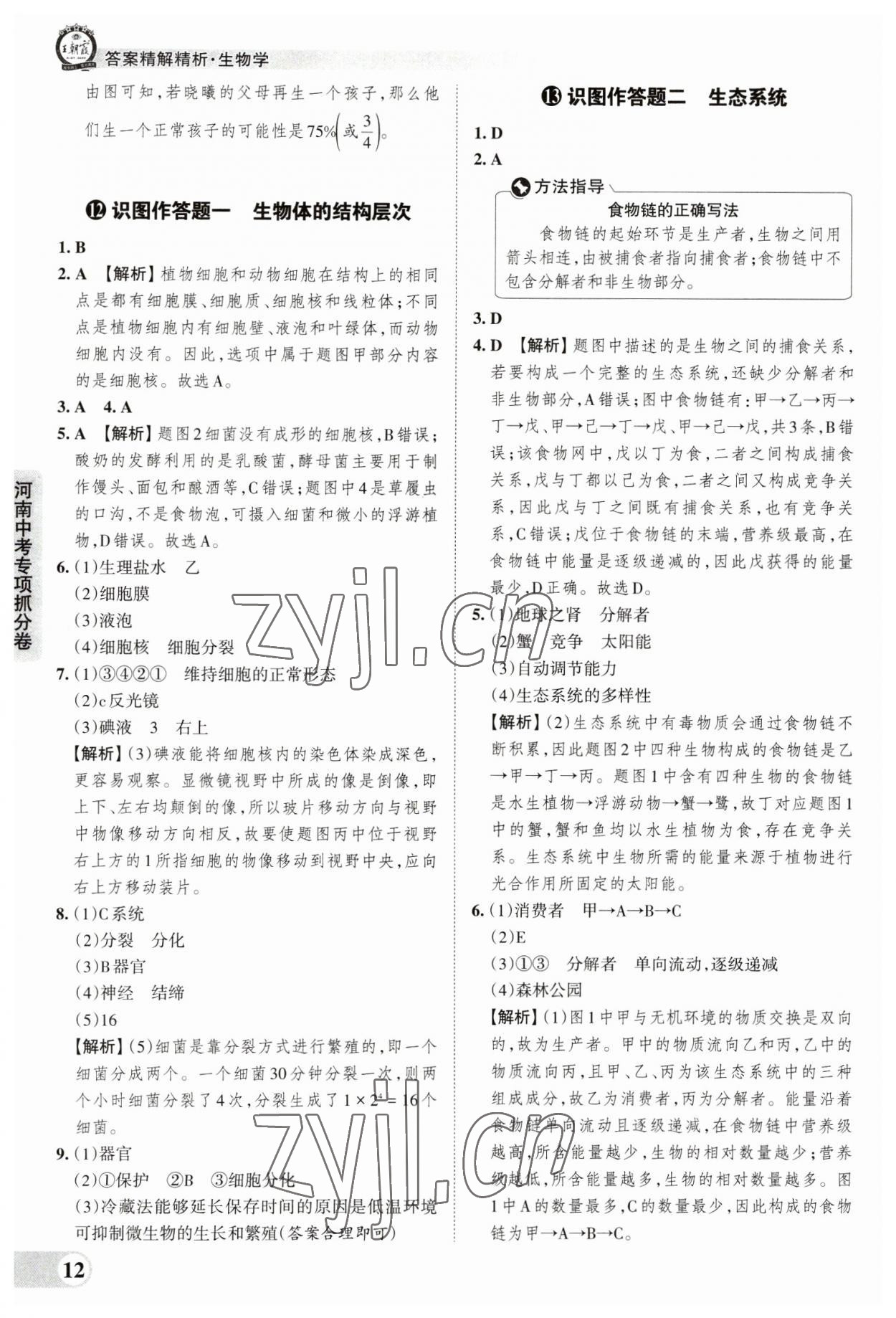 2023年王朝霞中考真題精編生物河南專版 參考答案第12頁