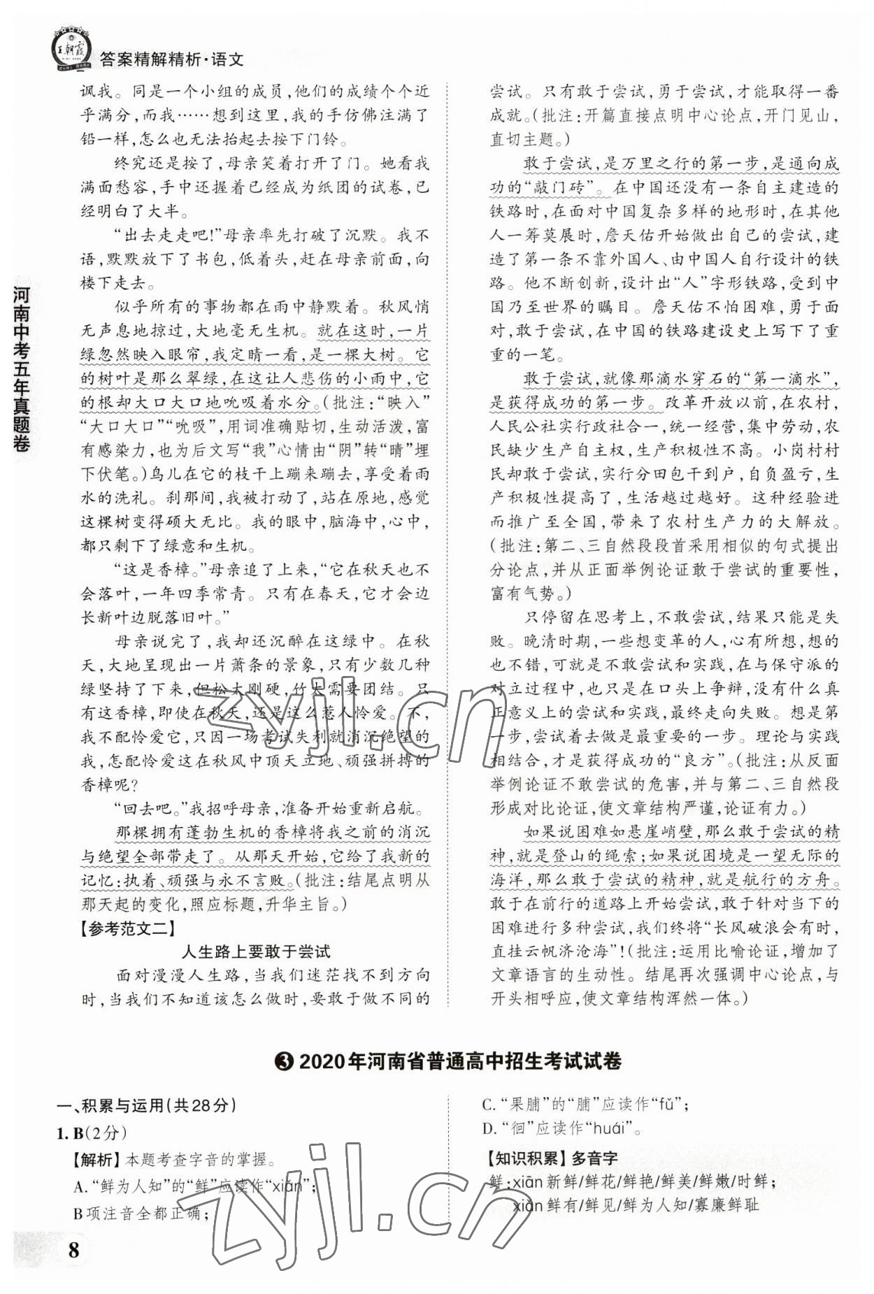 2023年王朝霞中考真题精编语文河南中考 参考答案第8页