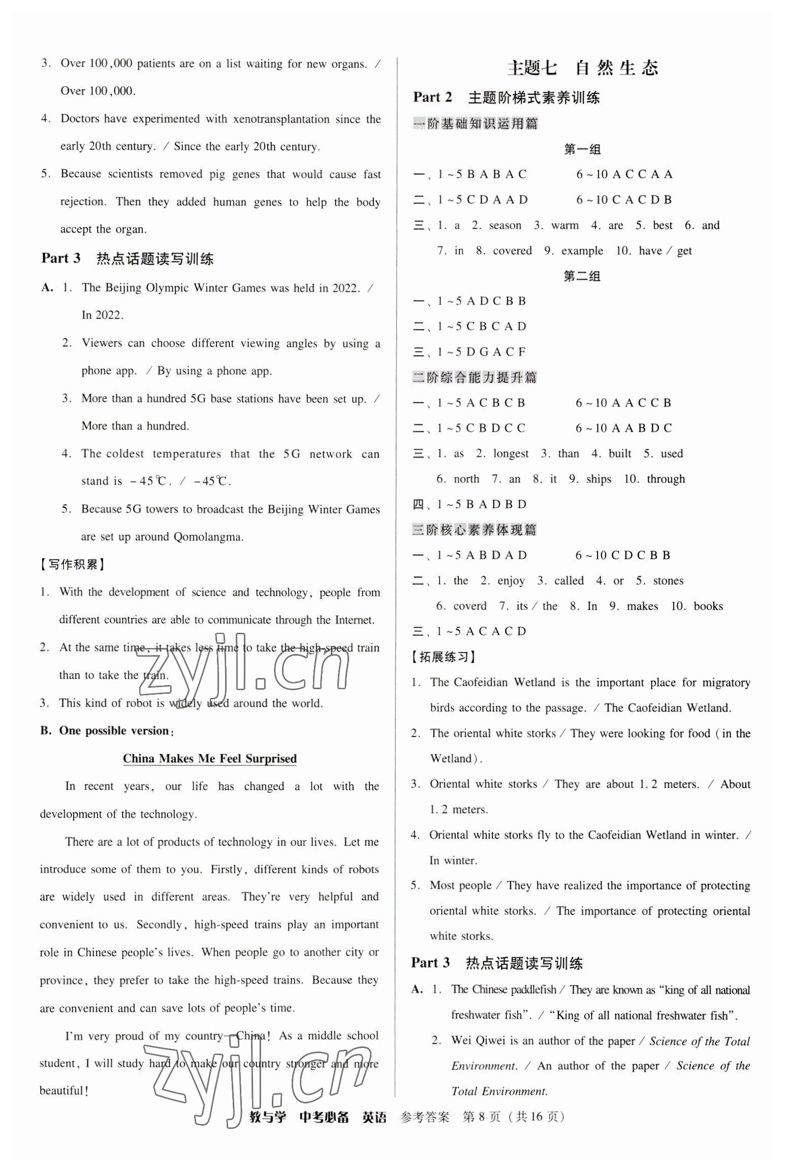 2023年教与学中考必备英语外研版 第8页