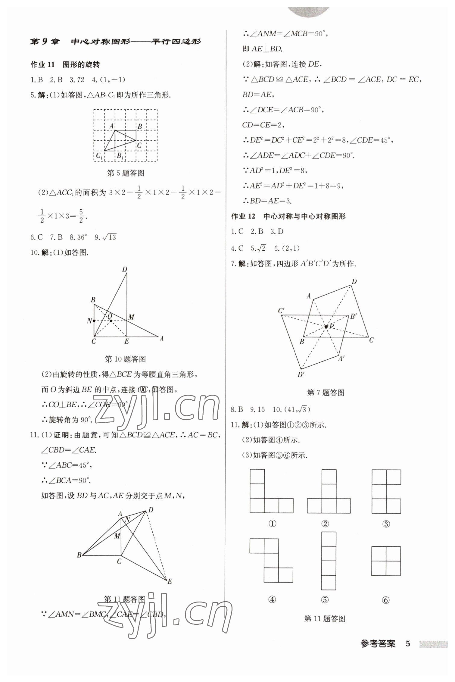 2023年启东中学作业本八年级数学下册江苏版 参考答案第5页