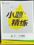 2023年通城學典小題精練八年級數(shù)學下冊人教版