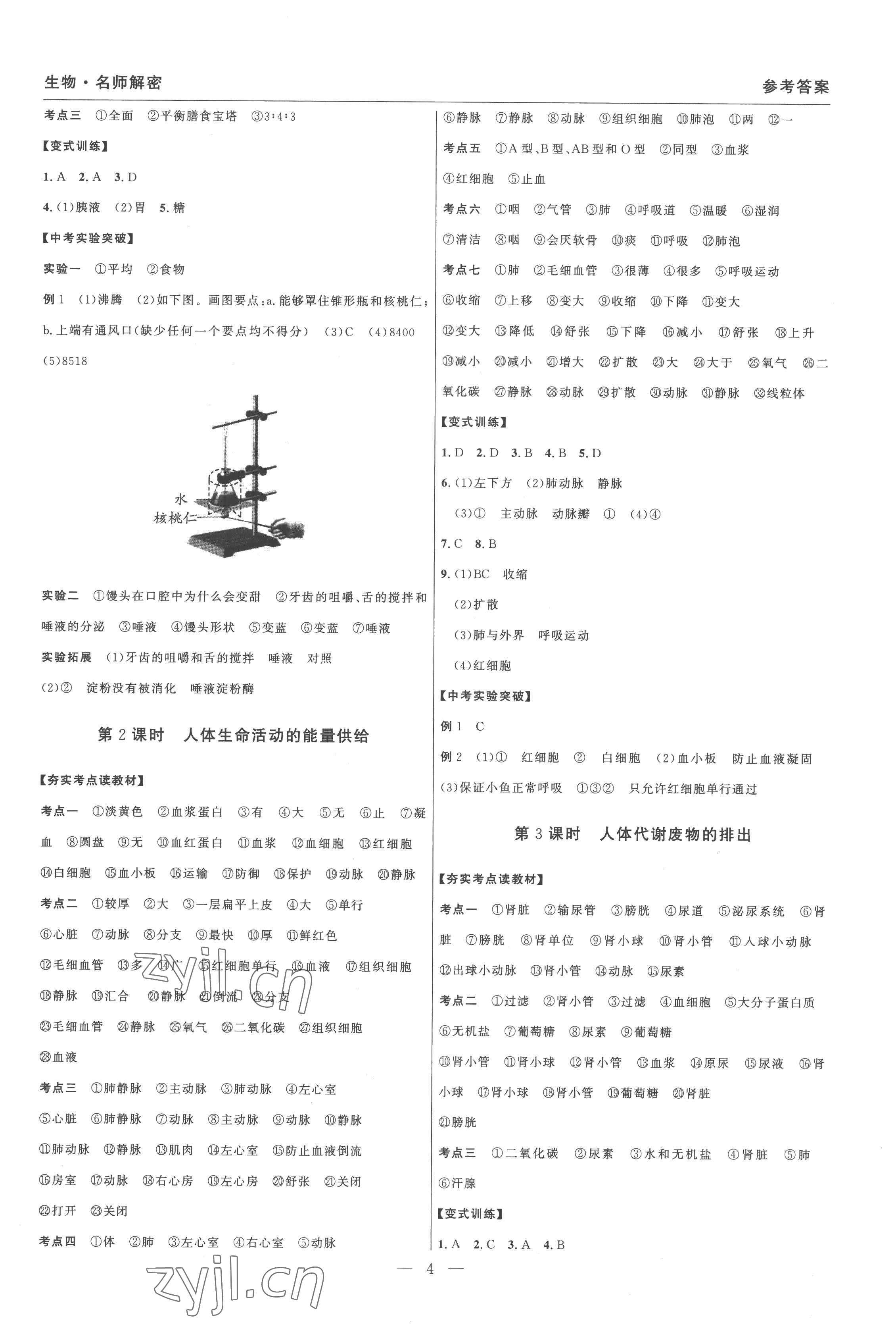 2023年碩源教育中考總復(fù)習名師解密生物河南專版 參考答案第4頁