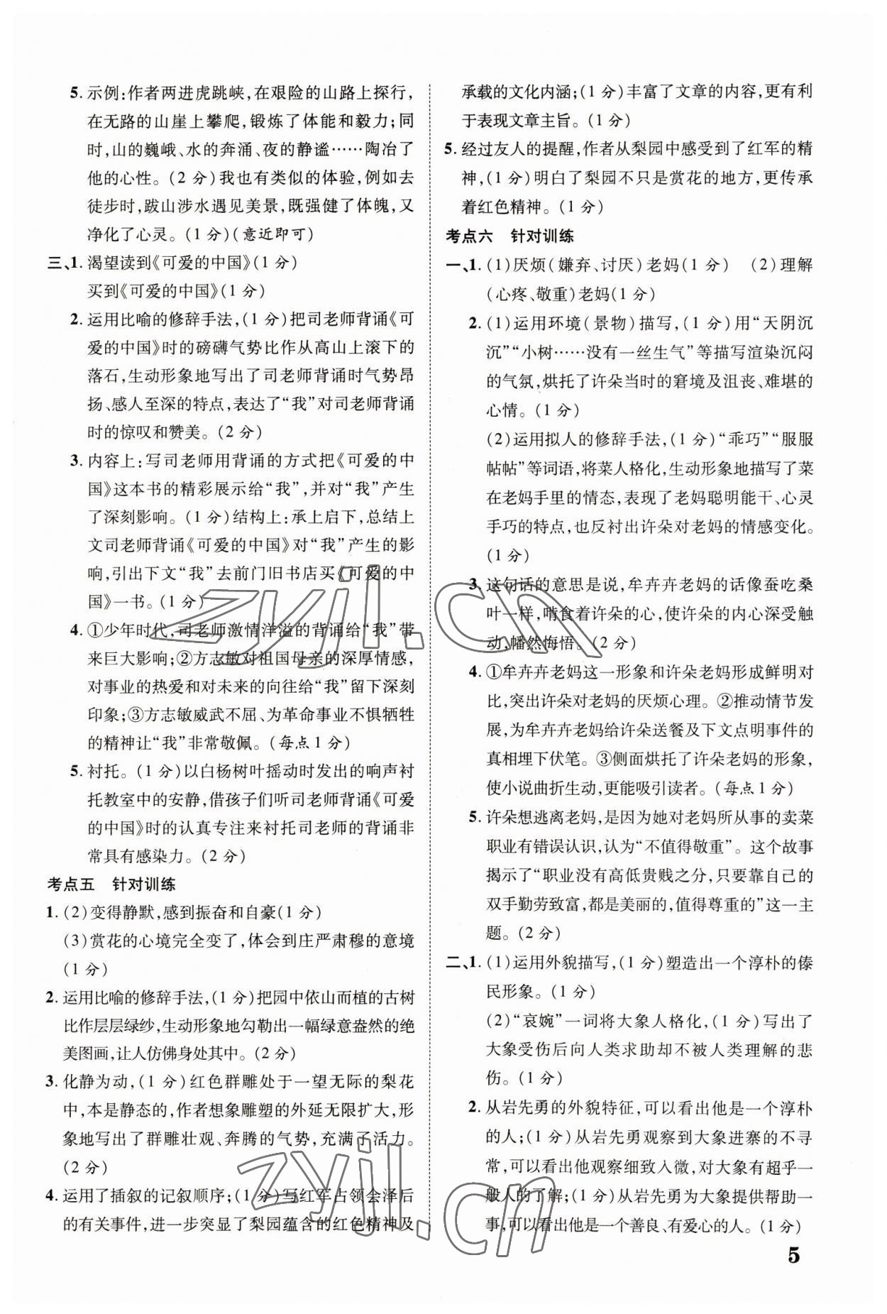 2023年中教联云南中考新突破语文 第5页