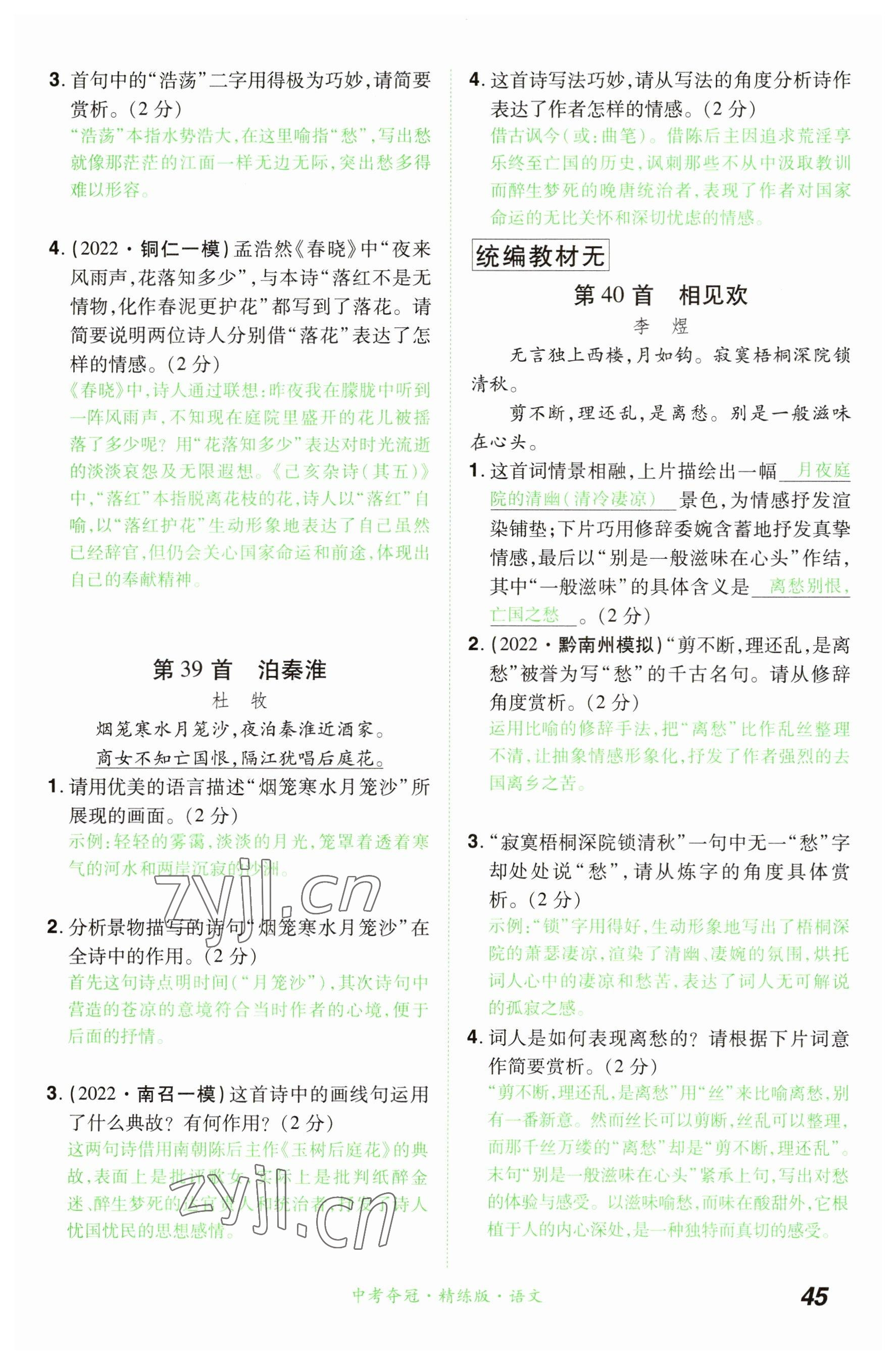 2023年國華教育中考奪冠語文河南專版 參考答案第45頁