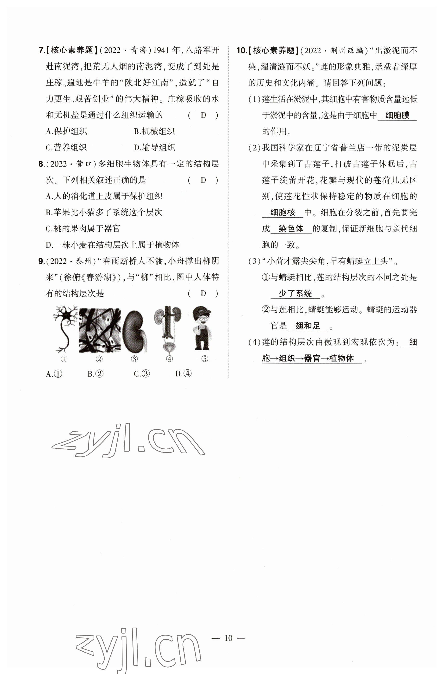 2023年河南中考命題非常解讀生物 參考答案第10頁