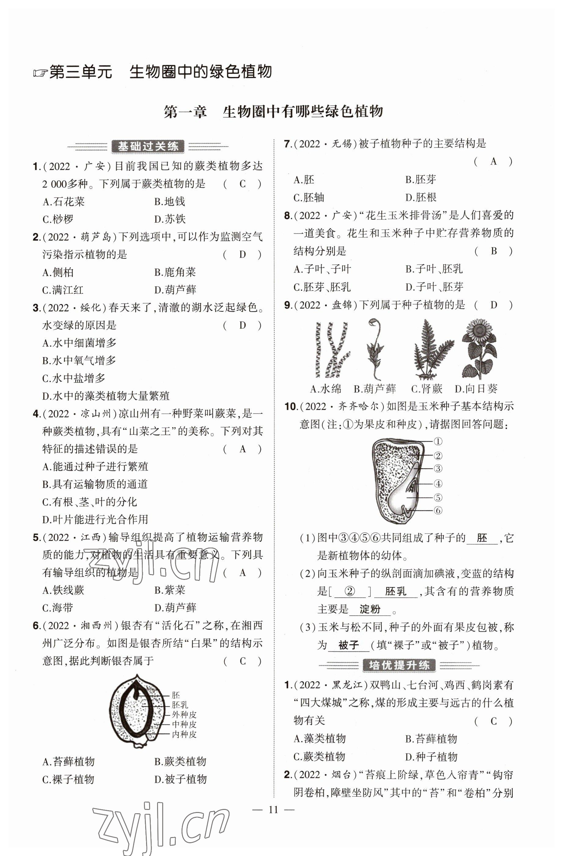 2023年河南中考命題非常解讀生物 參考答案第11頁