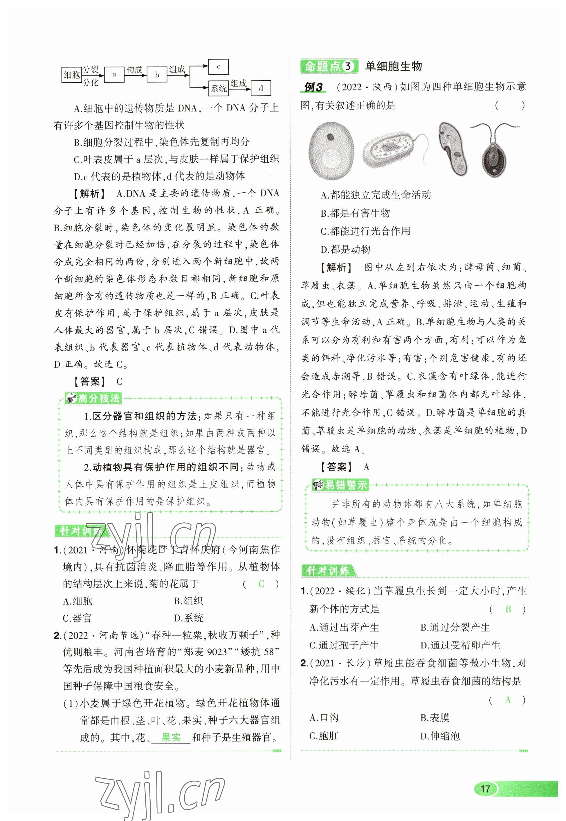 2023年河南中考命題非常解讀生物 參考答案第17頁