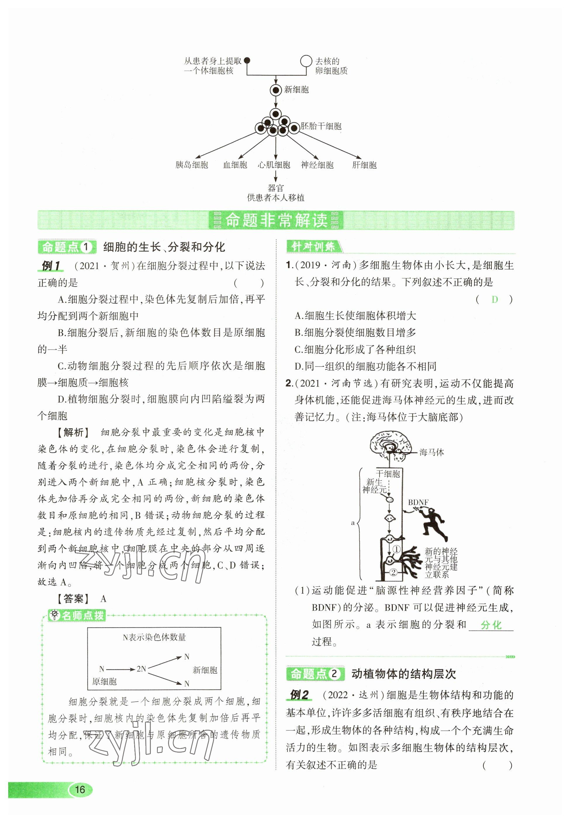2023年河南中考命題非常解讀生物 參考答案第16頁