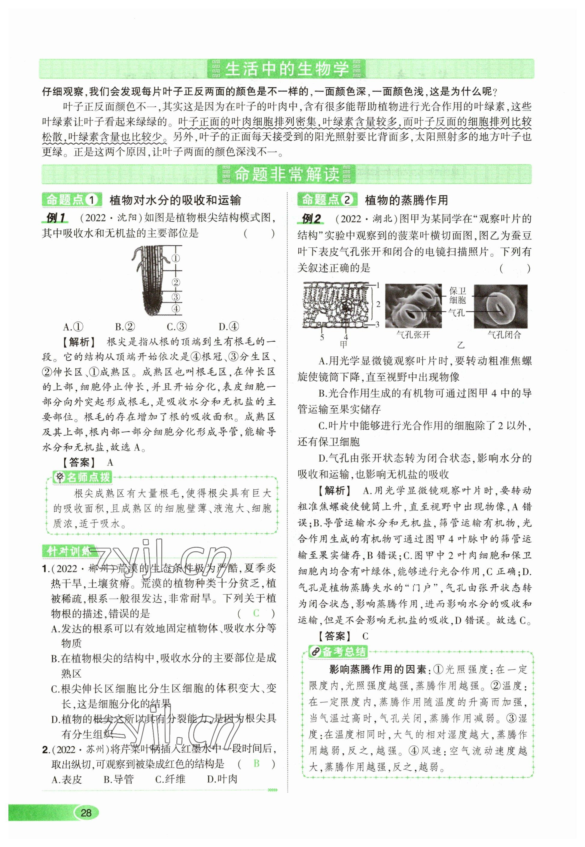 2023年河南中考命題非常解讀生物 參考答案第28頁