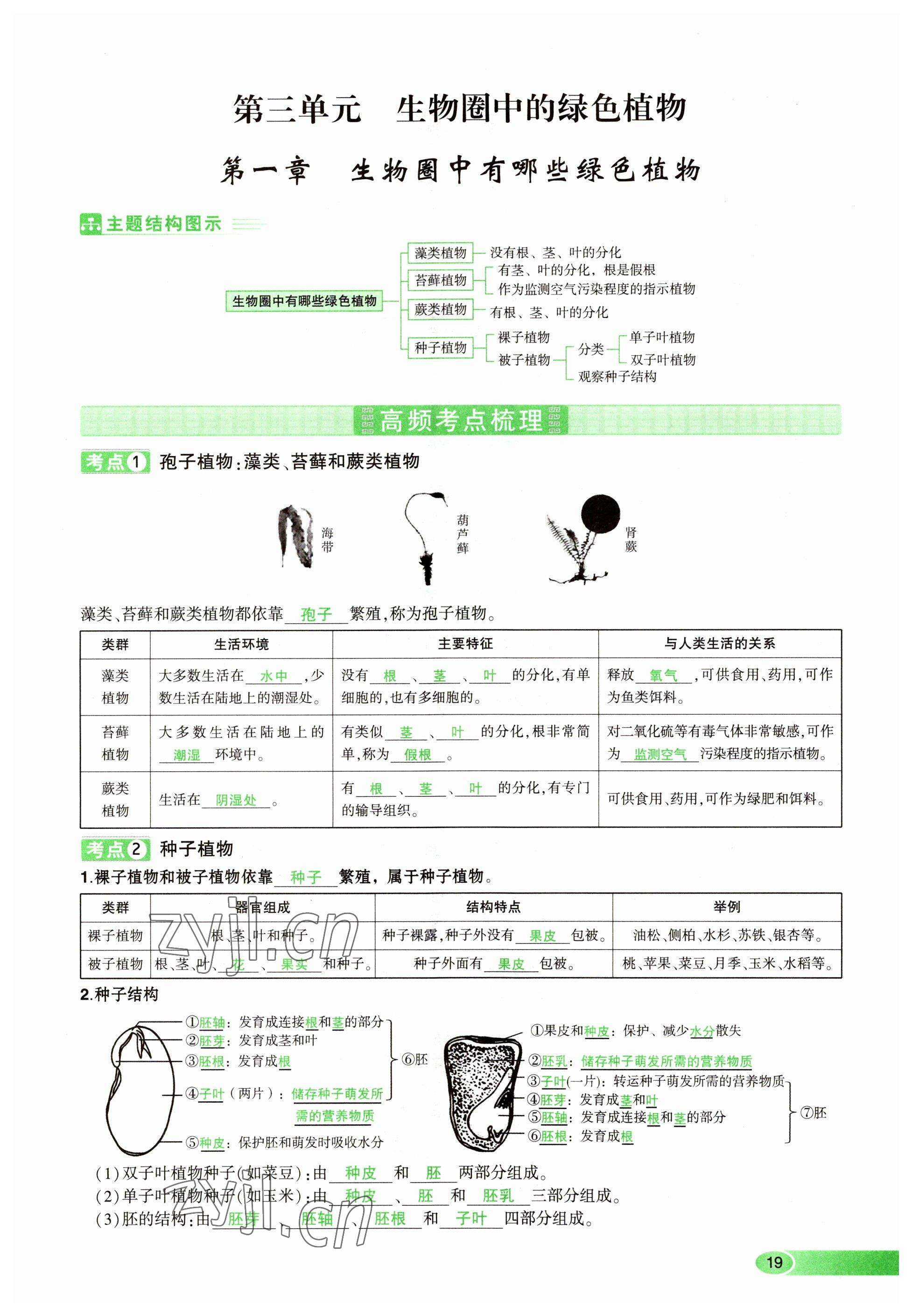 2023年河南中考命題非常解讀生物 參考答案第19頁