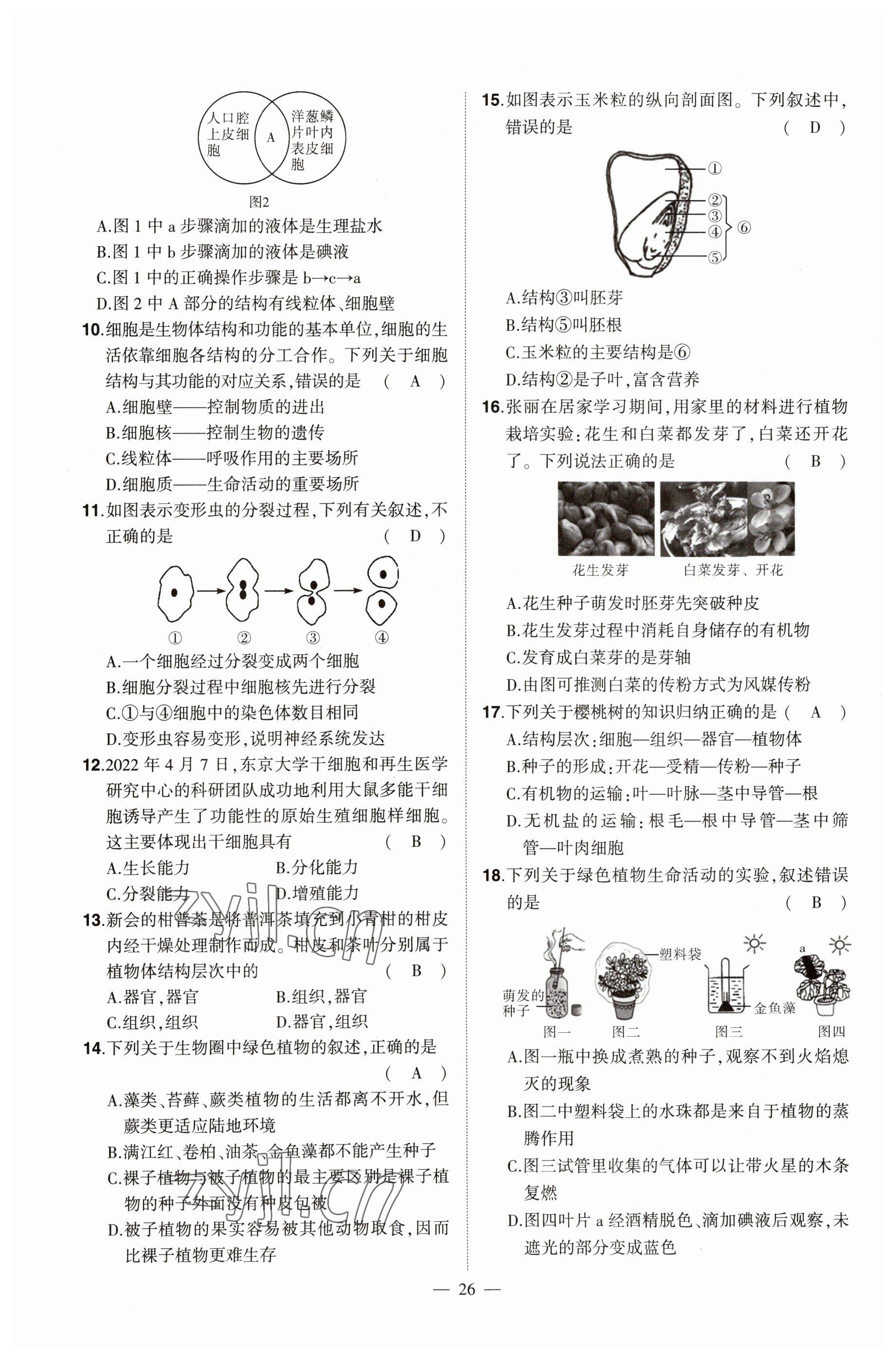 2023年河南中考命題非常解讀生物 參考答案第26頁