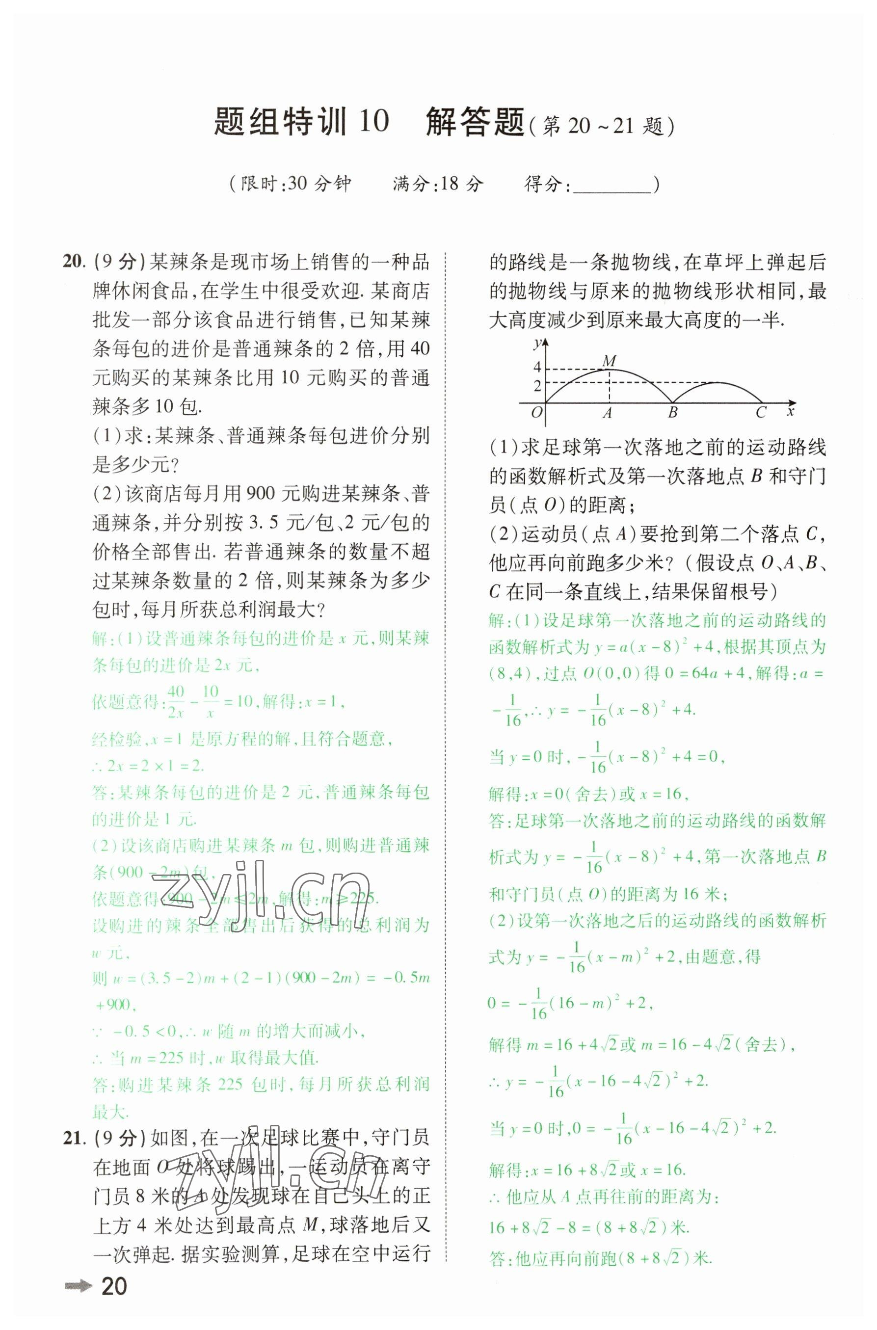 2023年領(lǐng)揚(yáng)文化中考研究數(shù)學(xué)河南專版 參考答案第19頁