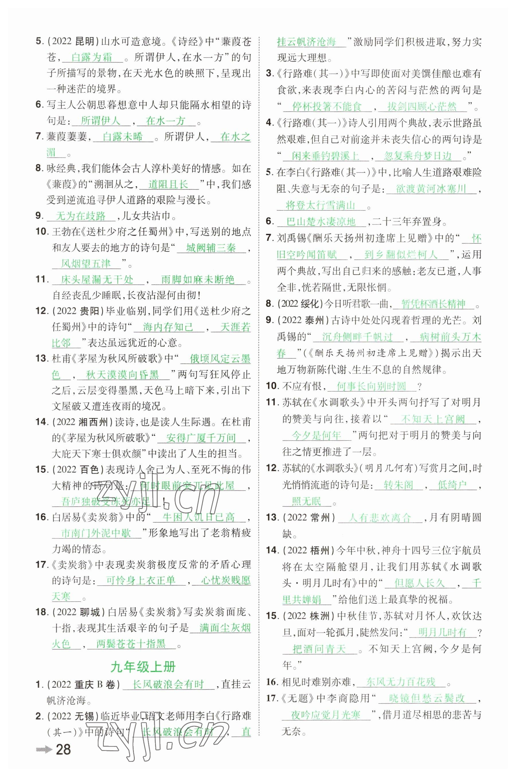 2023年領(lǐng)揚文化中考研究語文河南專版 參考答案第27頁