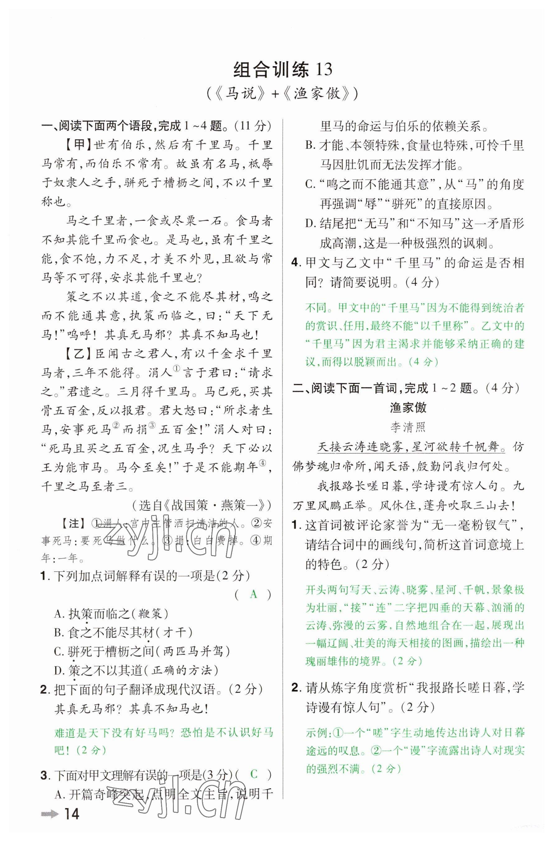 2023年領(lǐng)揚(yáng)文化中考研究語文河南專版 參考答案第13頁