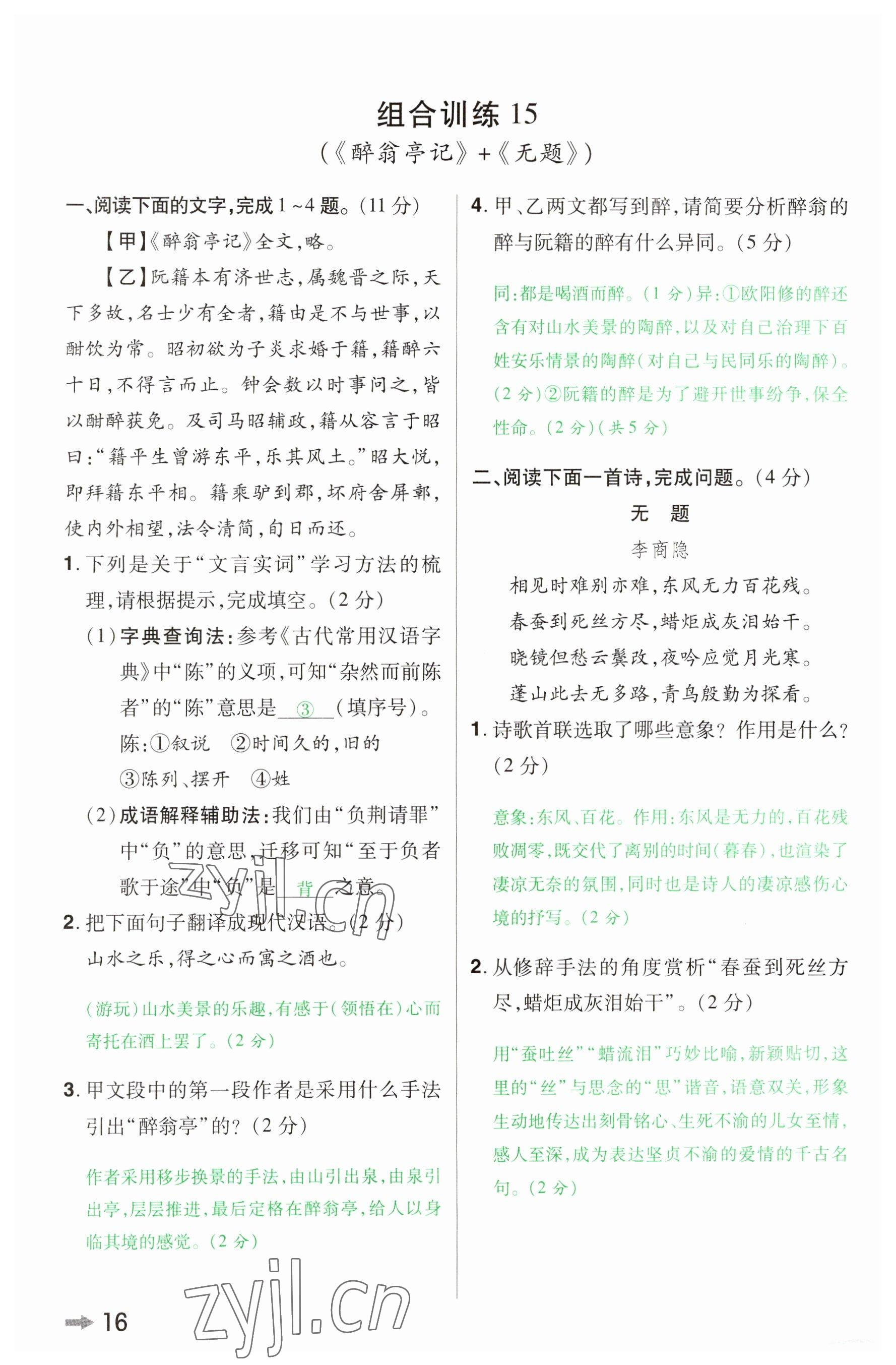 2023年領(lǐng)揚(yáng)文化中考研究語(yǔ)文河南專(zhuān)版 參考答案第15頁(yè)