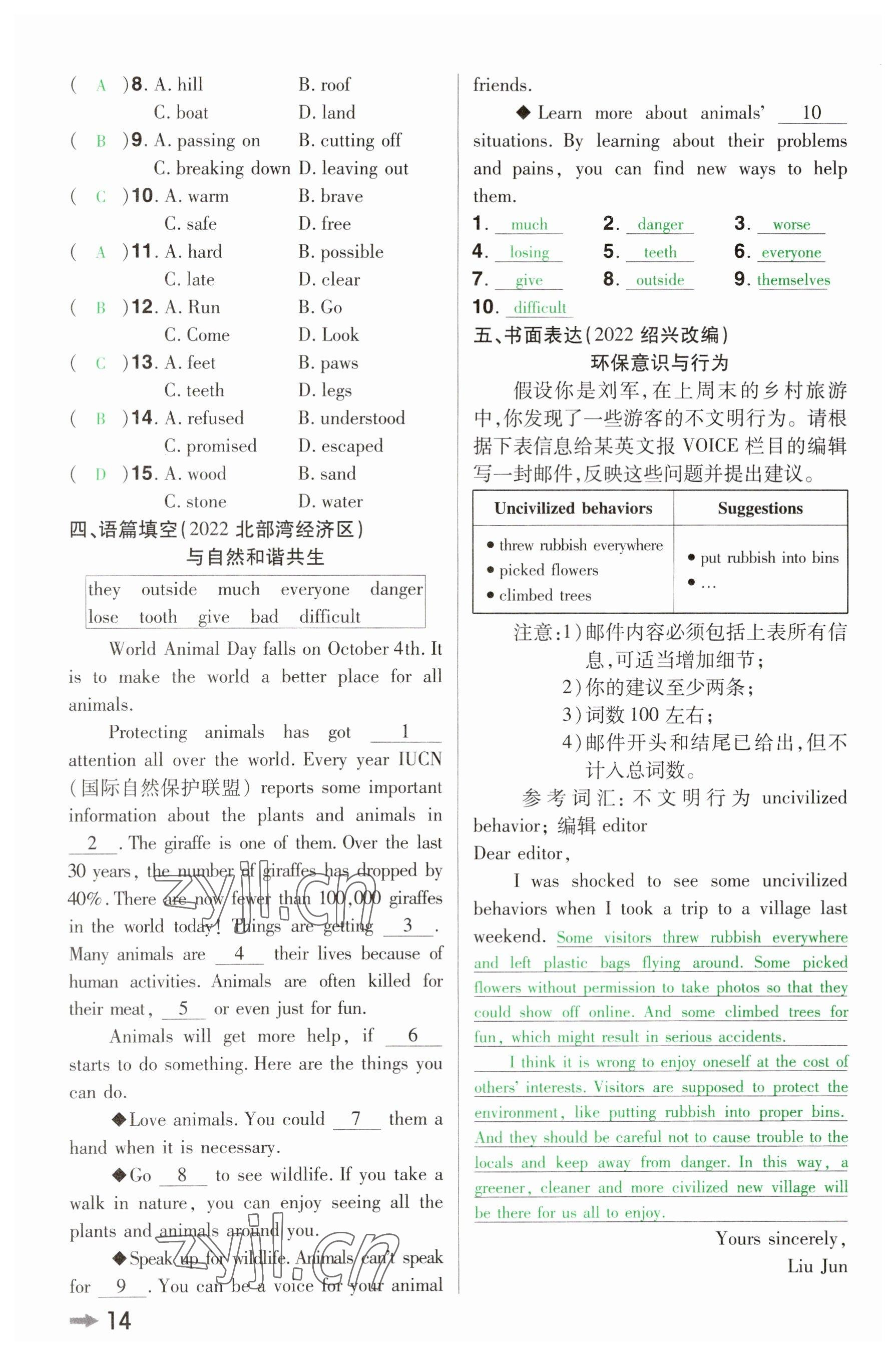 2023年領(lǐng)揚(yáng)文化中考研究英語河南專版 參考答案第13頁