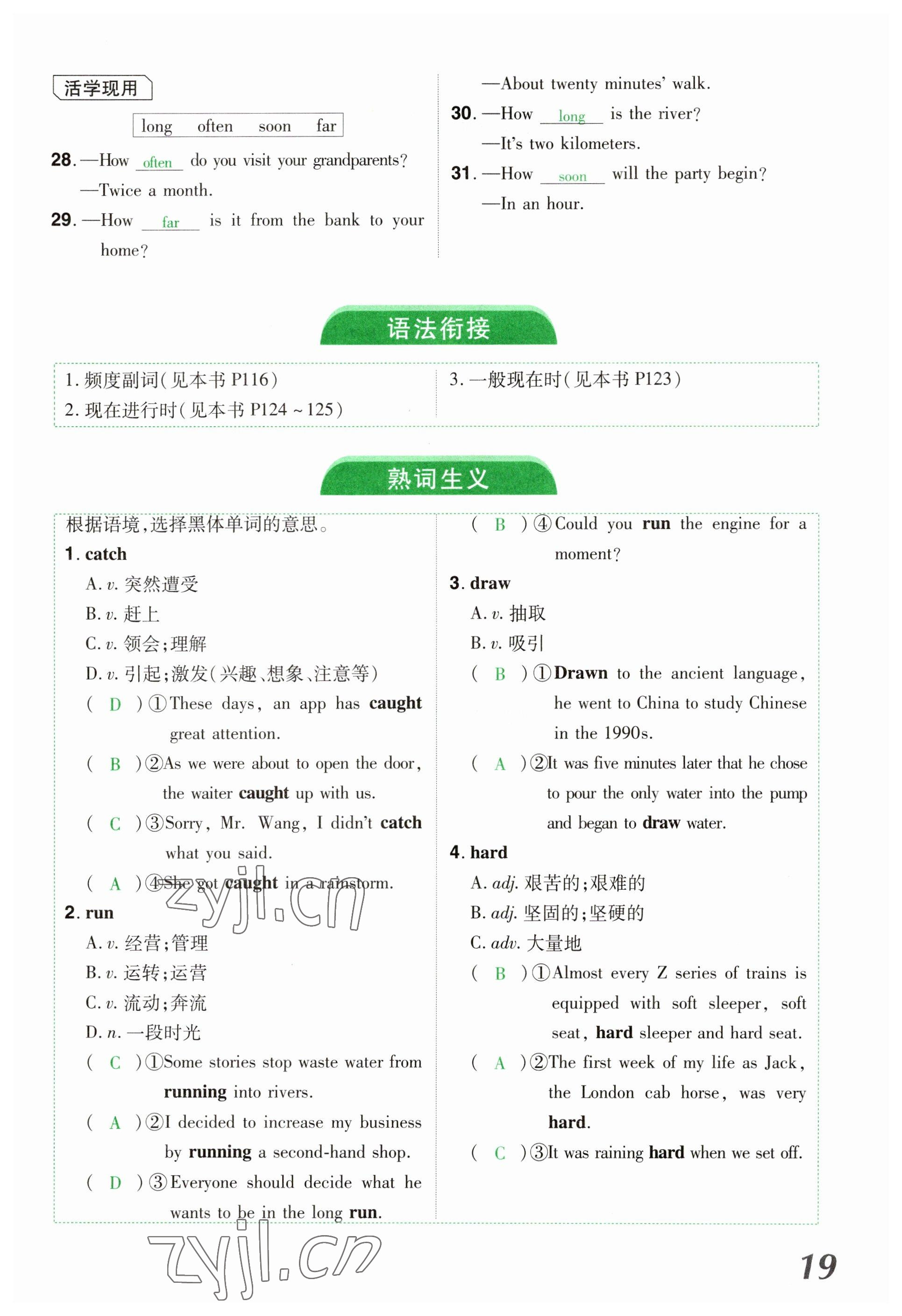 2023年領(lǐng)揚(yáng)文化中考研究英語河南專版 參考答案第19頁
