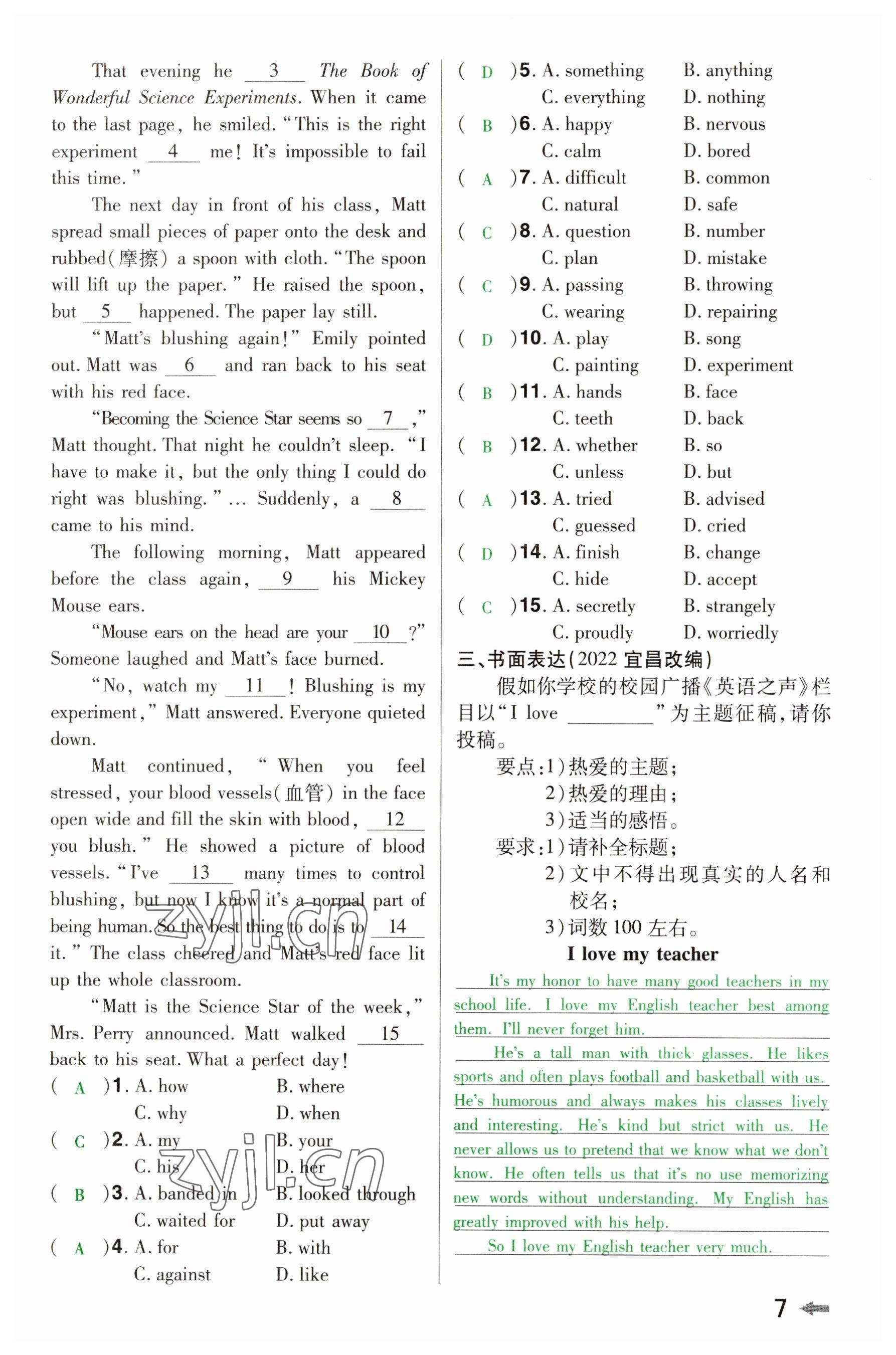 2023年領(lǐng)揚(yáng)文化中考研究英語河南專版 參考答案第6頁