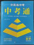 2023年中考通鄭州大學出版社數(shù)學河南專版