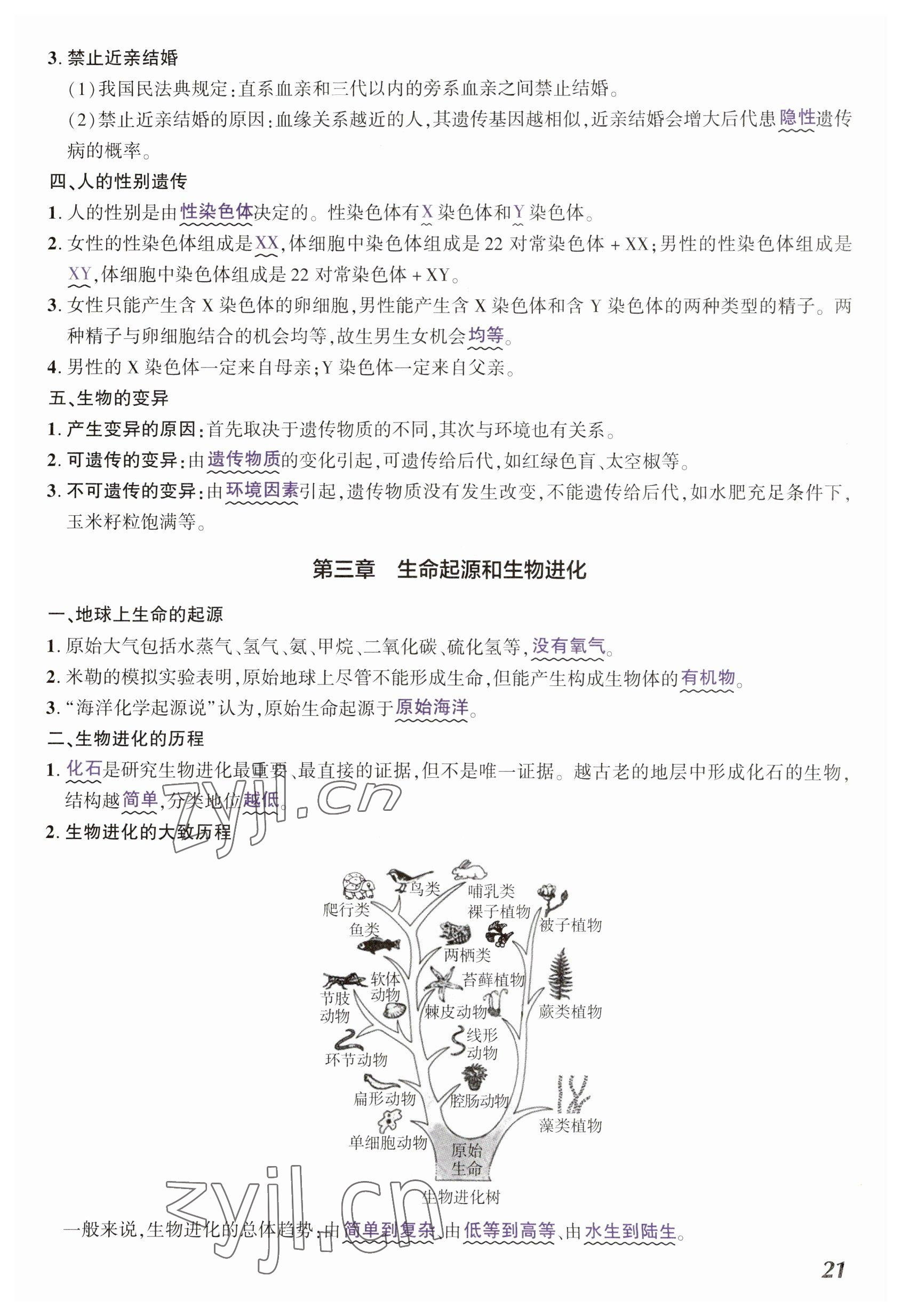 2023年中考通生物河南專版 參考答案第21頁