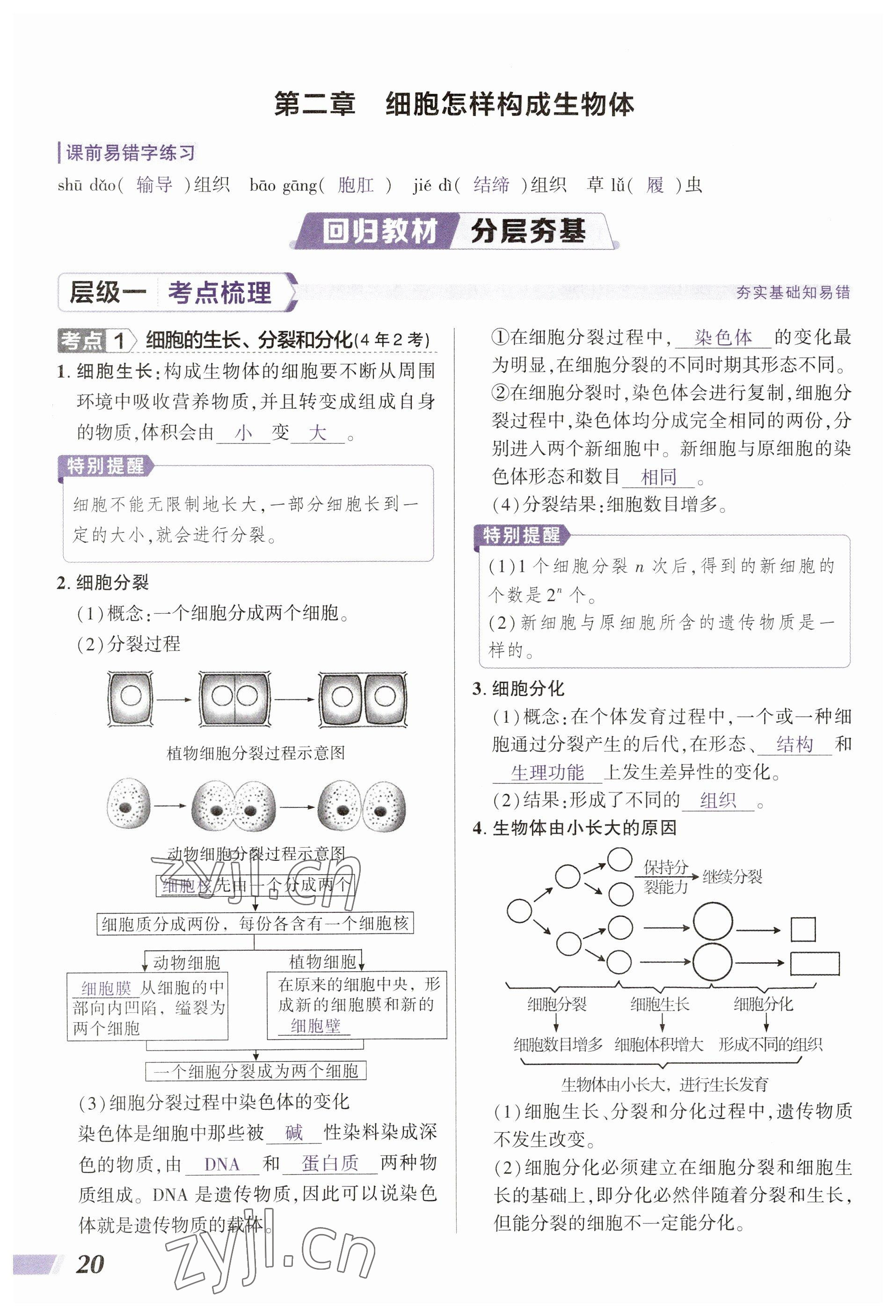 2023年中考通生物河南專版 參考答案第20頁