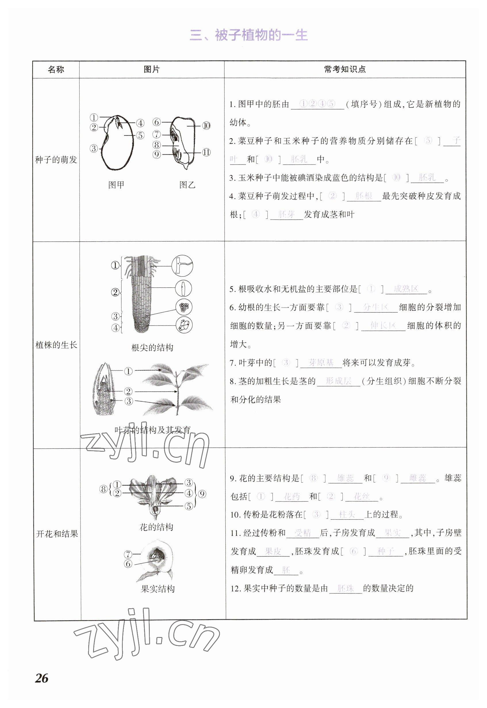 2023年中考通生物河南專版 參考答案第26頁(yè)